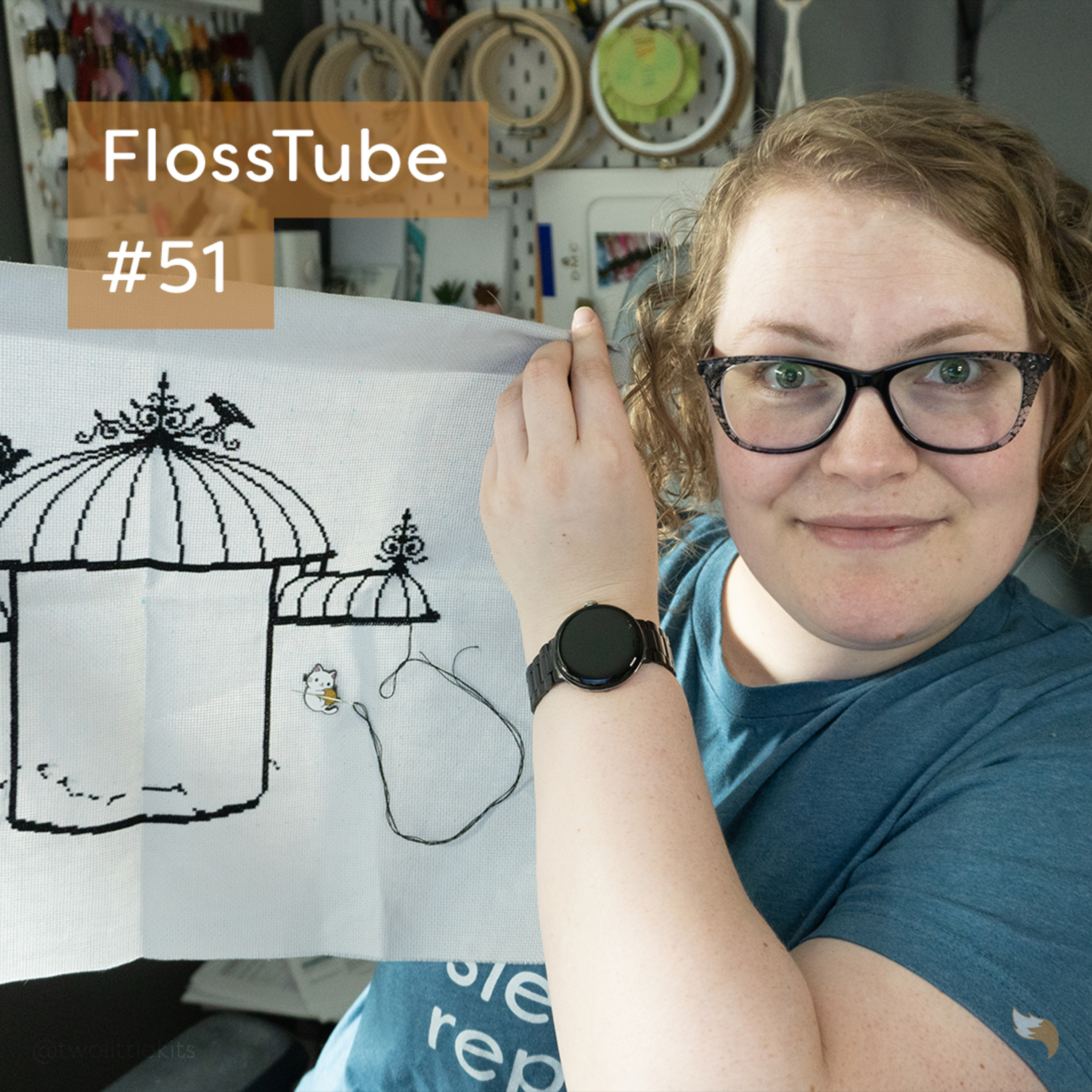 FlossTube #51 - June: The craziest month..! episode artwork