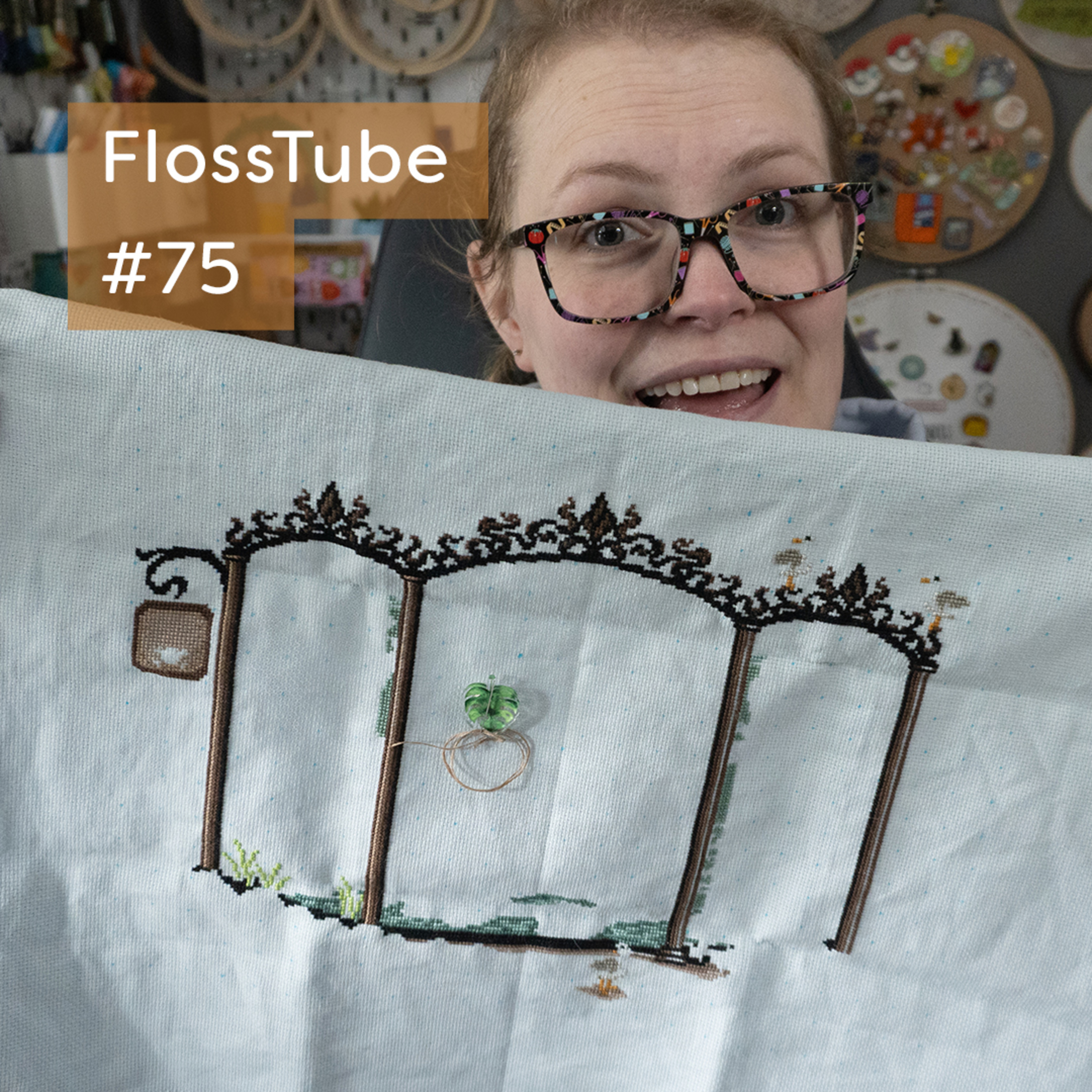 FlossTube #75 - Update on Surgery no.2 for 2024. Amongst other things. episode artwork