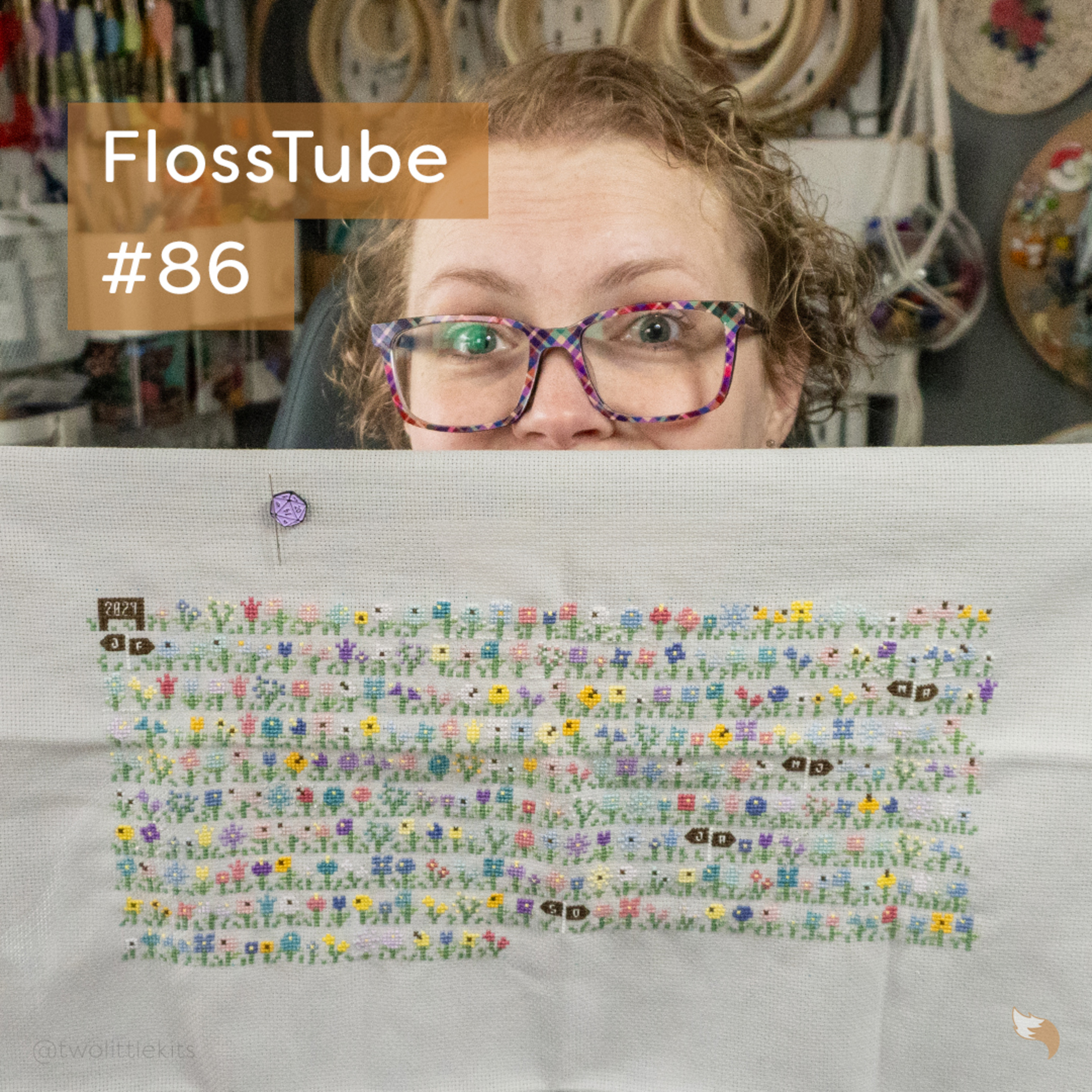 FlossTube #86 - I Have Some AMAZING, Personal News to Share! episode artwork