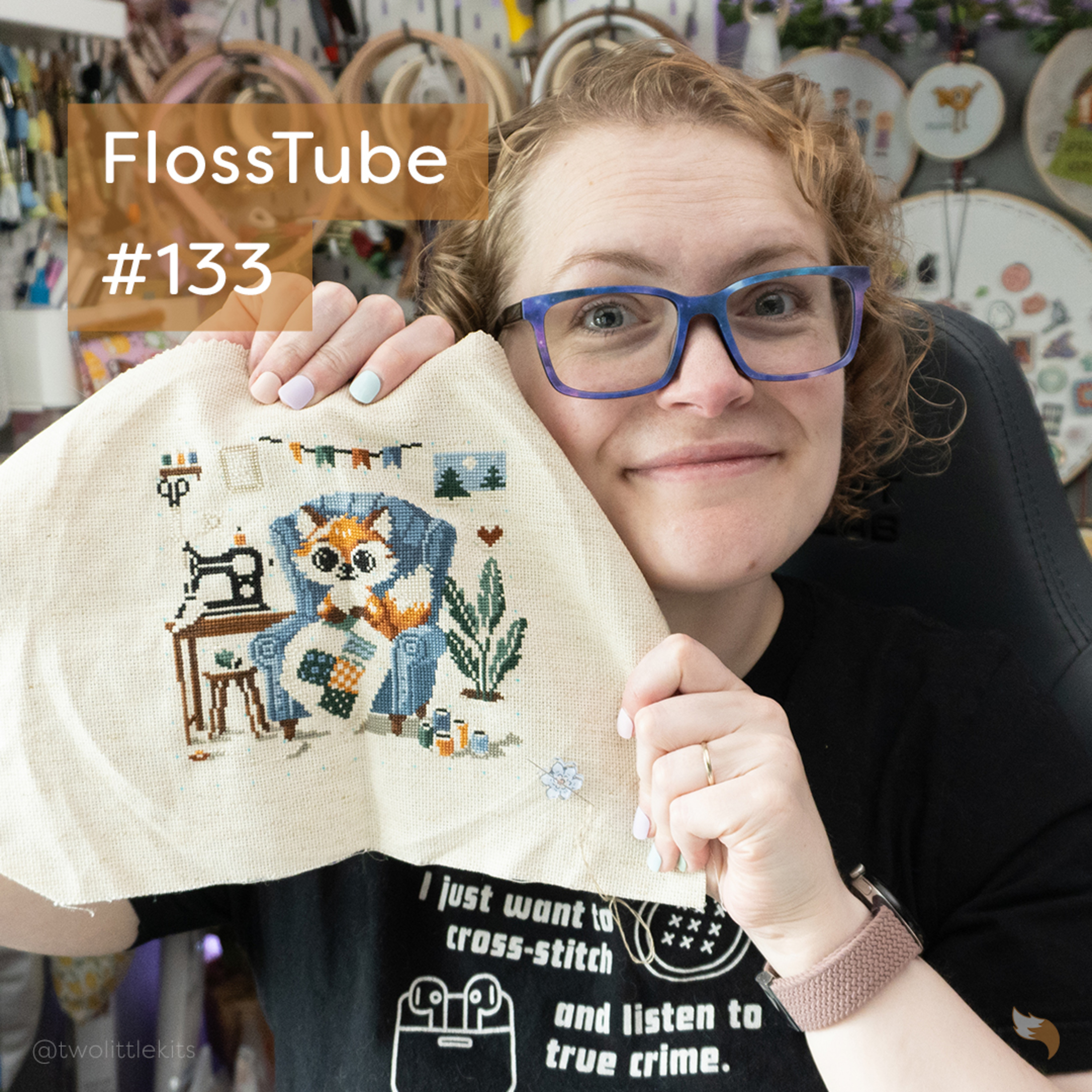 FlossTube #133 - A Speedy 10-Day Finish, Big Life Updates & SALs episode artwork