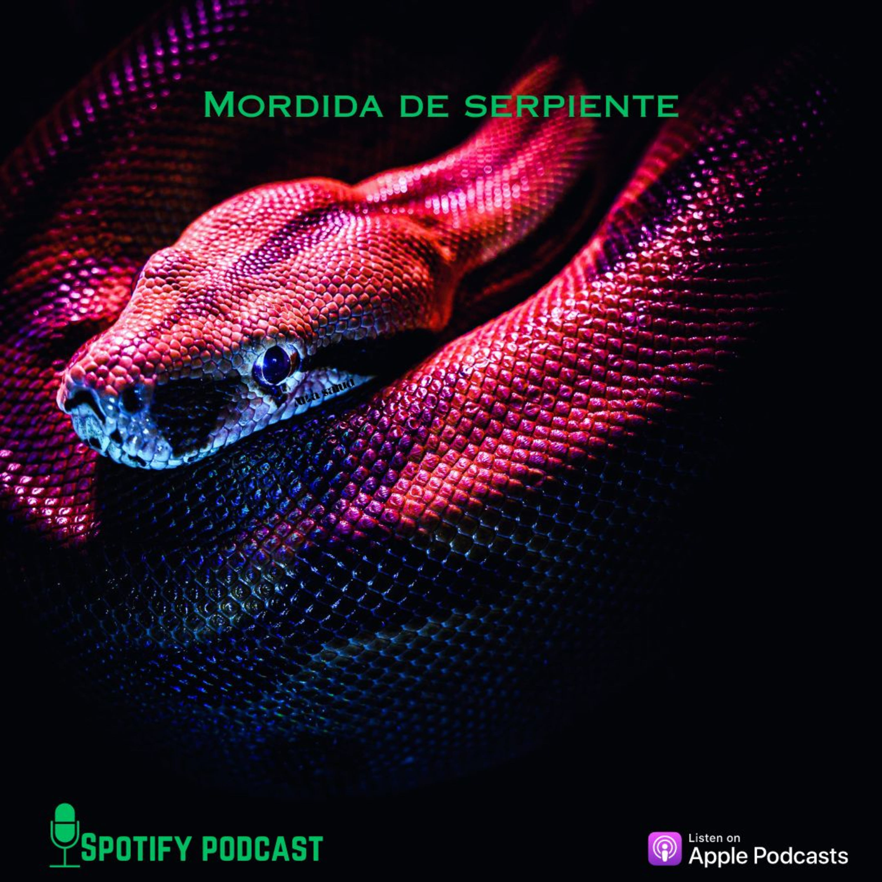 Mordid@  episode artwork