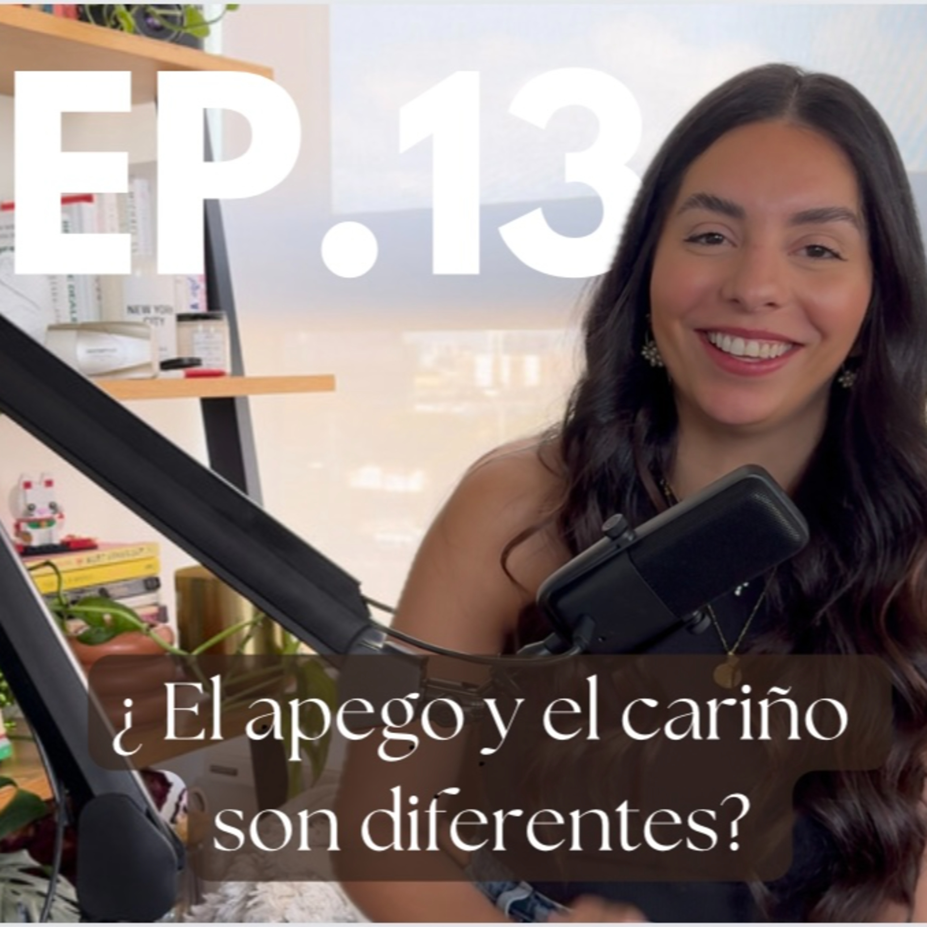 Ep13. ¿El apego y el cariño son diferentes? episode artwork