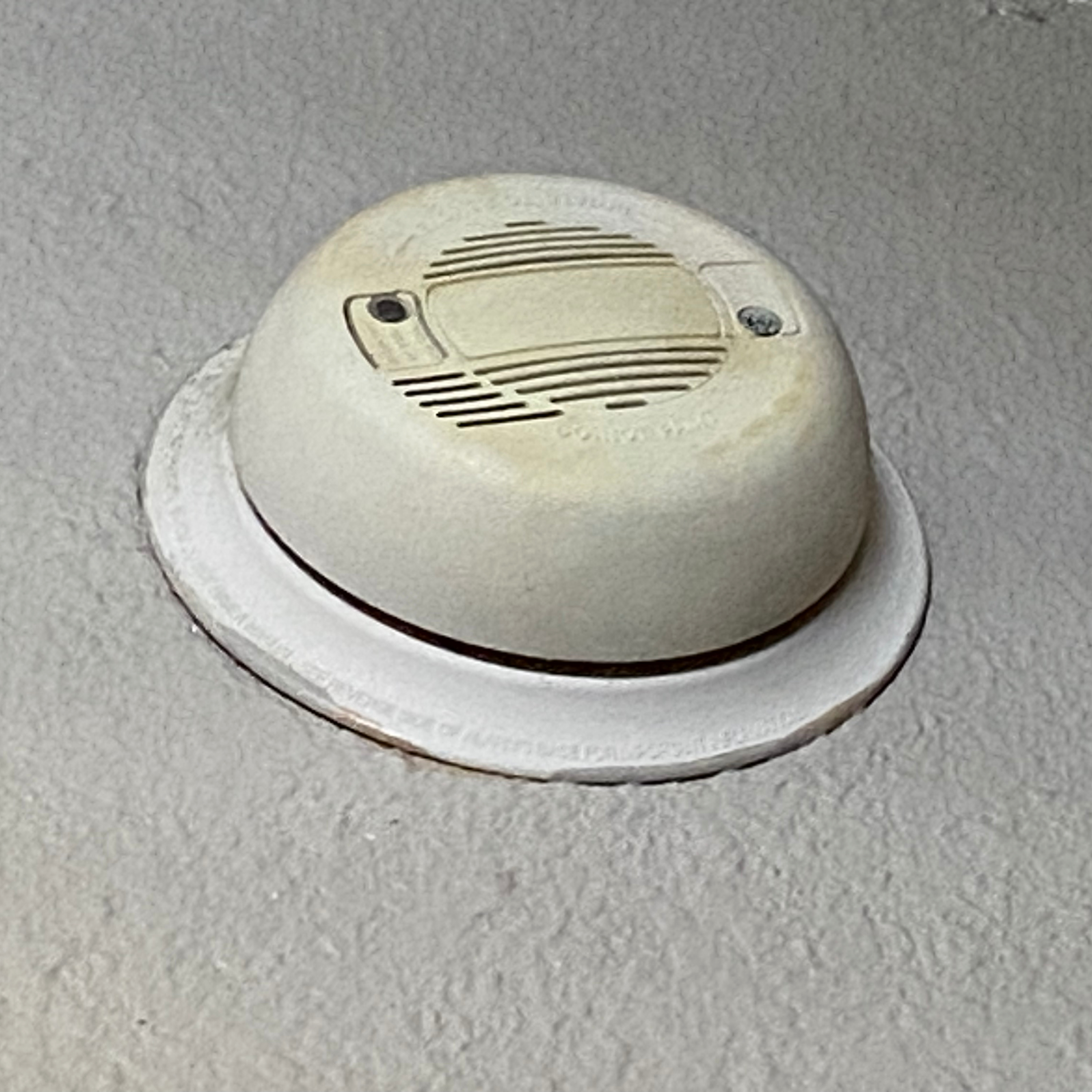 she PULLED THE FIRE ALARM IN THE HOTEL!😂🤣 episode artwork