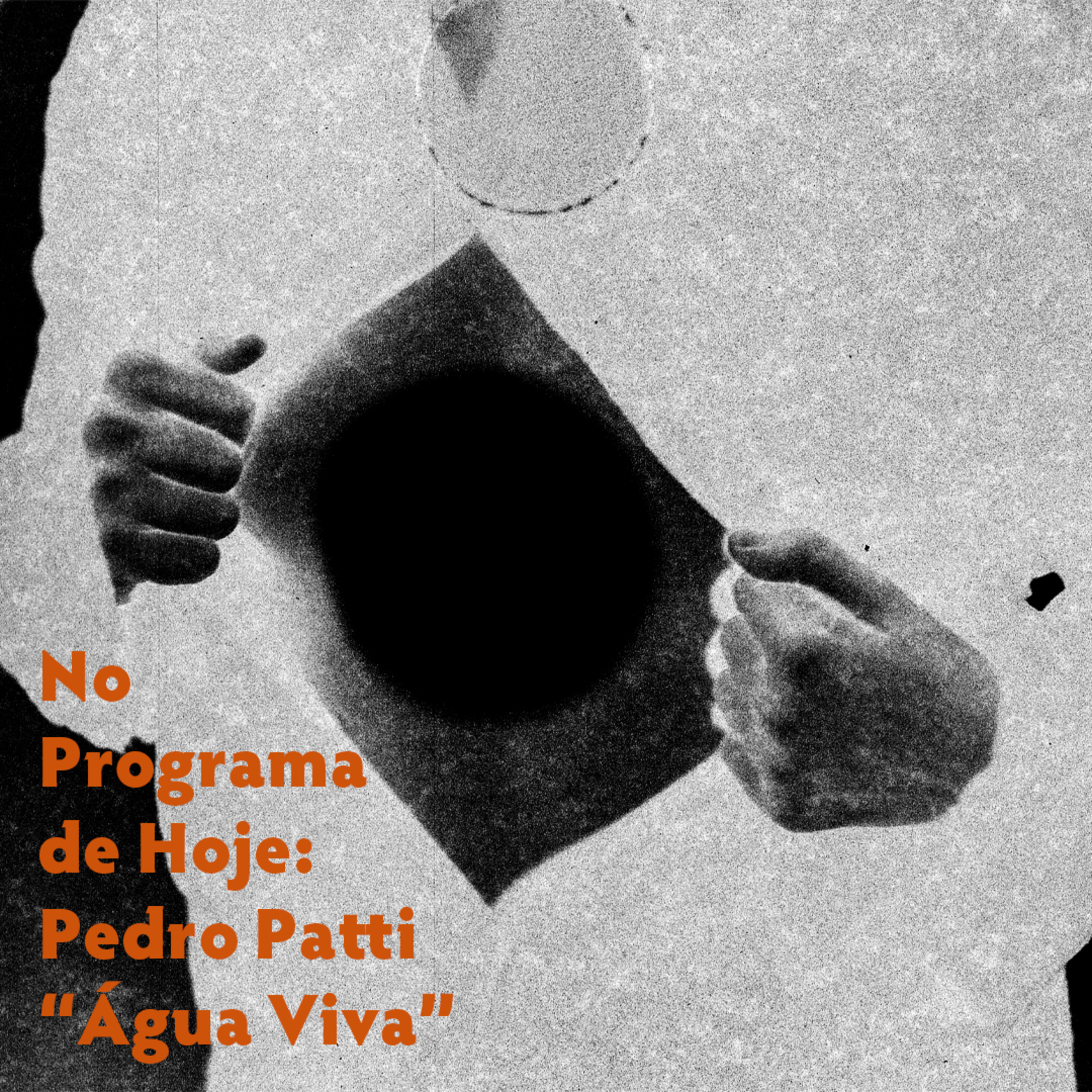 No Programa De Hoje