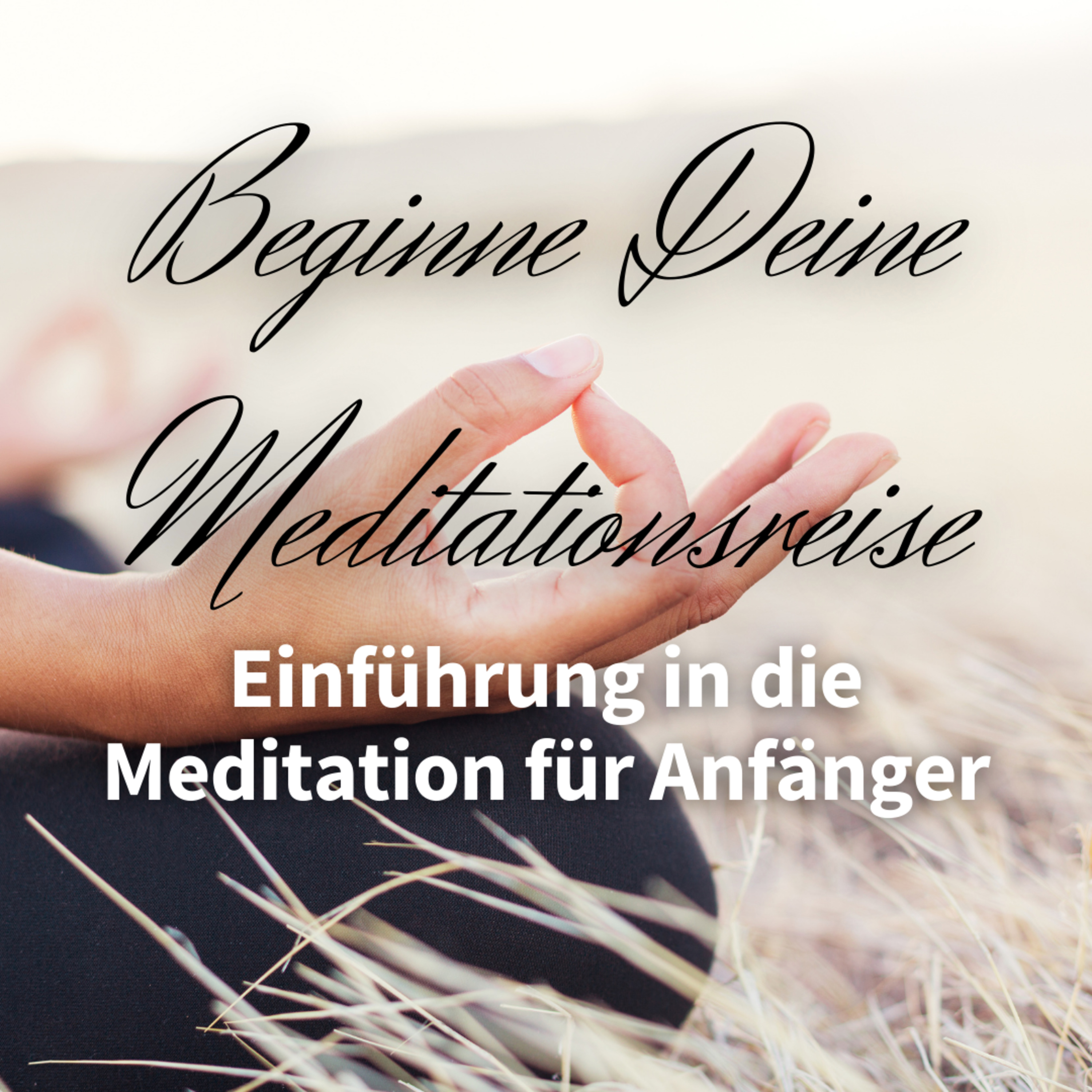 Einführung in die Meditation für Anfänger episode artwork