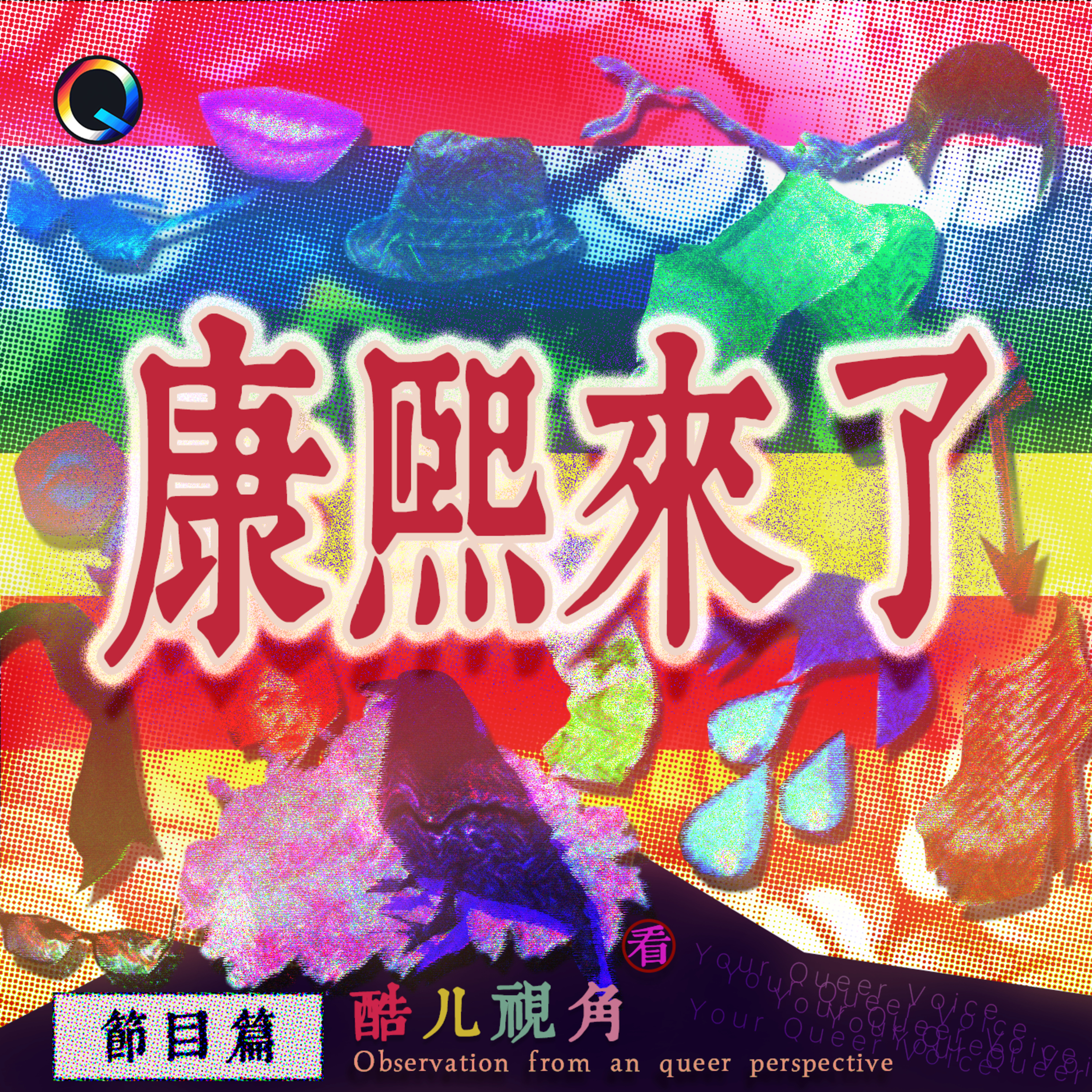 酷儿视角看「康熙来了」下——节目篇 episode artwork