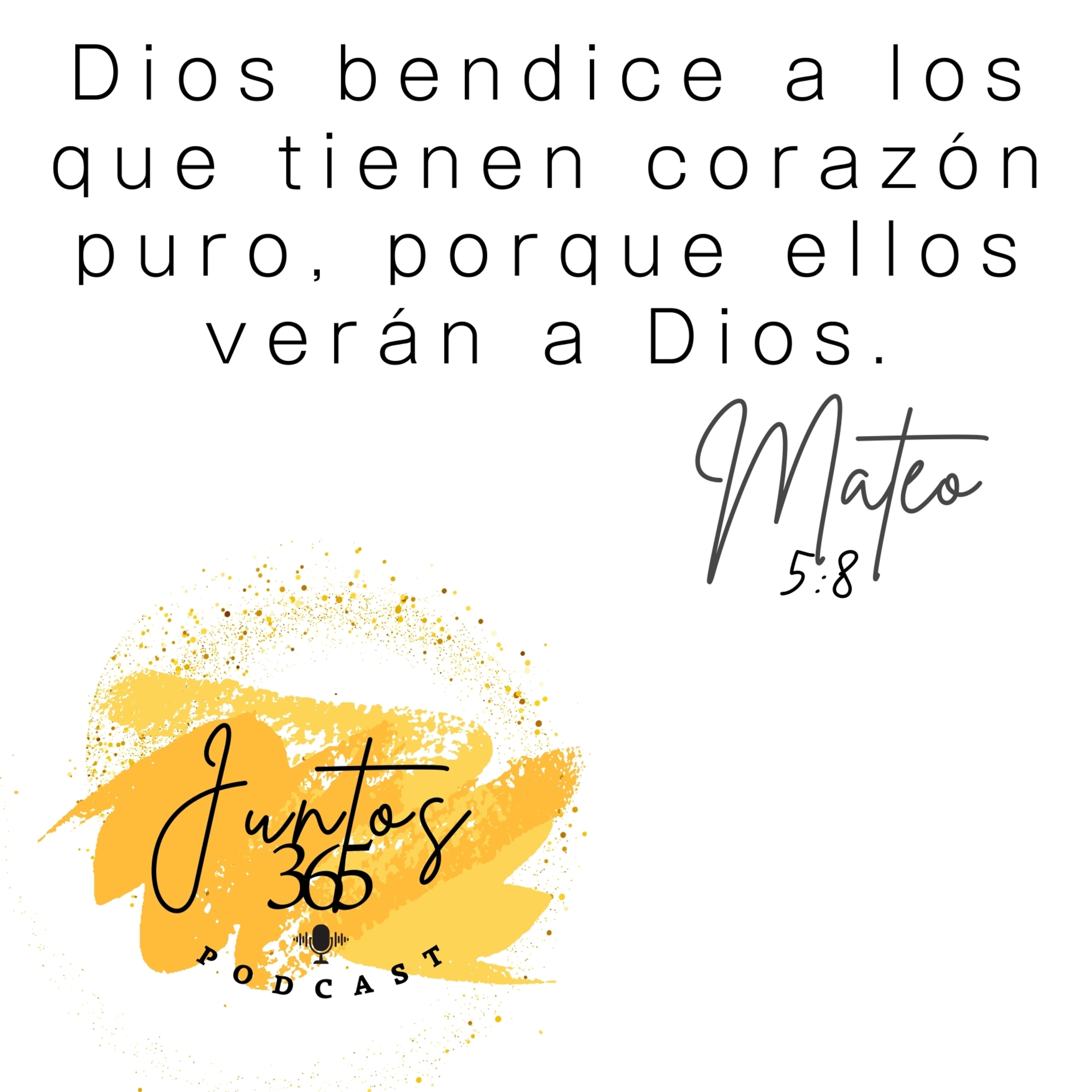 Lunes 14 de octubre 2024. Virtudes en el matrimonio: 1. Pureza de corazón  episode artwork