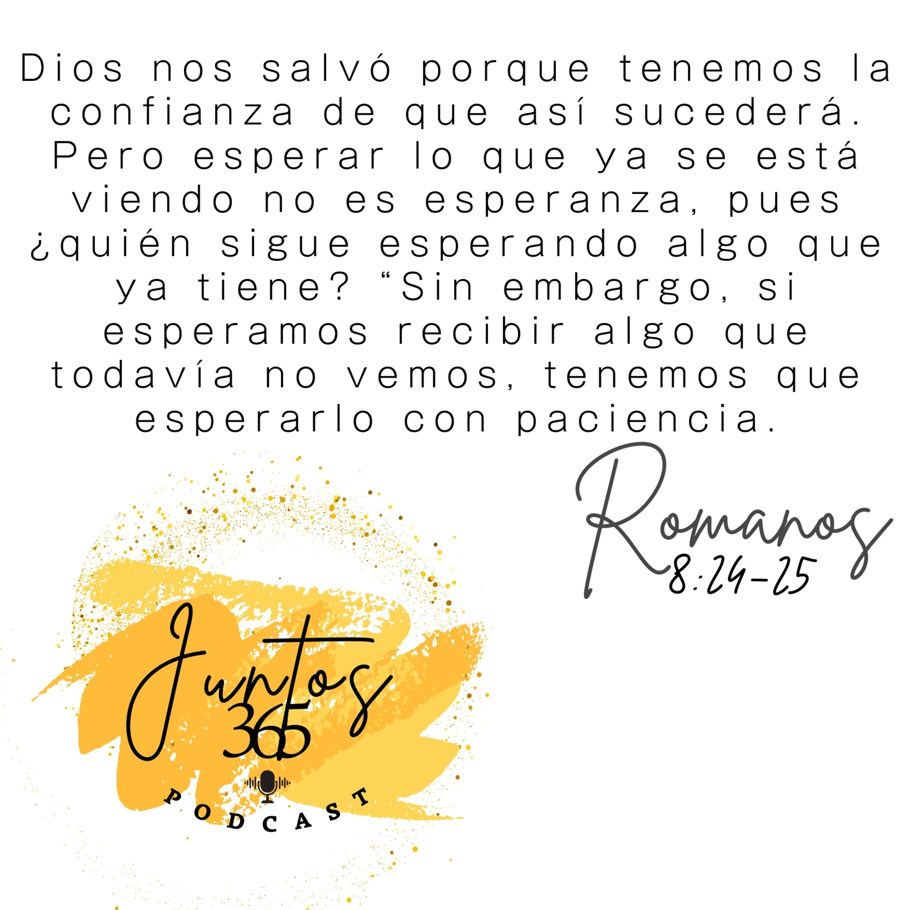 Juntos 365