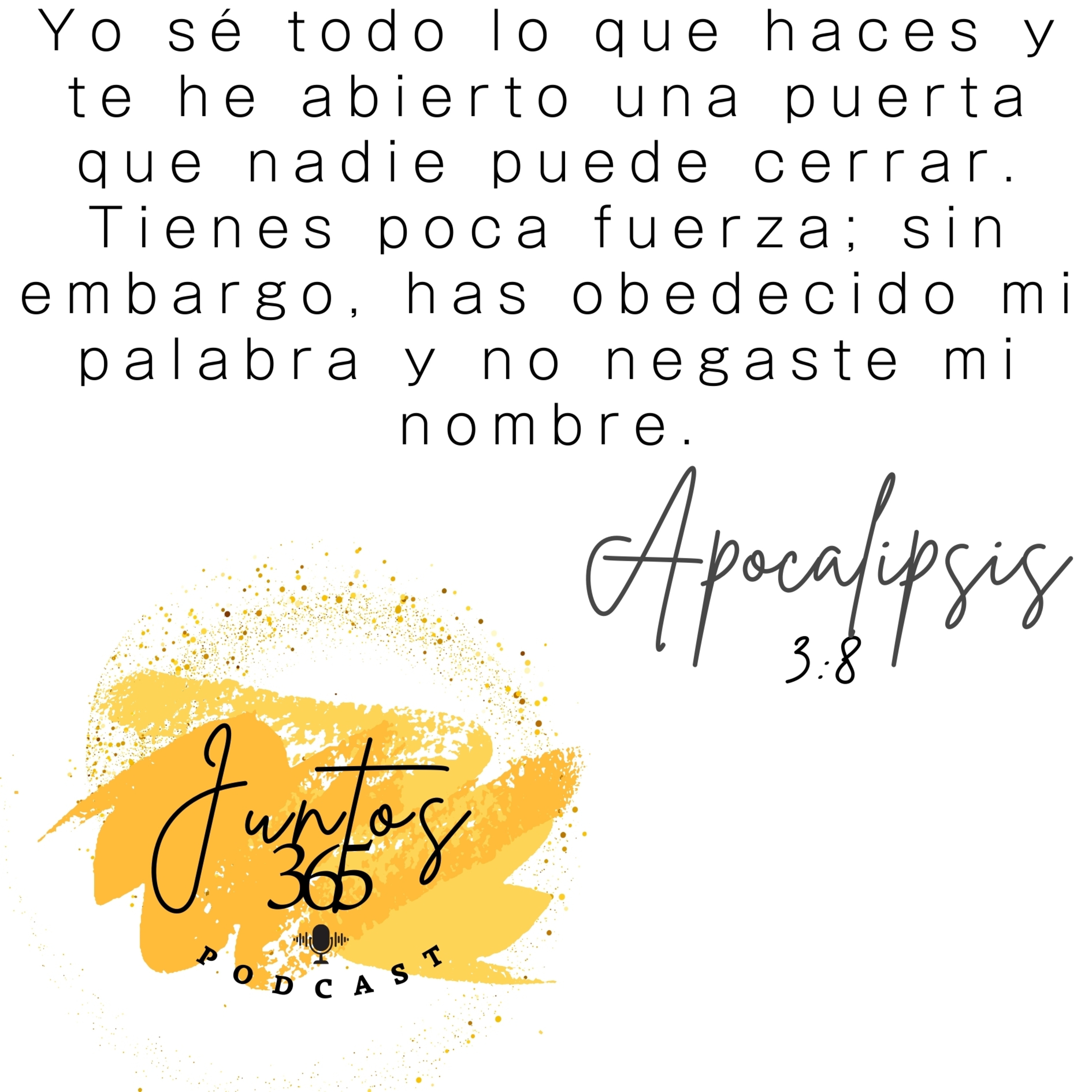 Viernes 27 de diciembre 2024. La Puerta está abierta:  episode artwork
