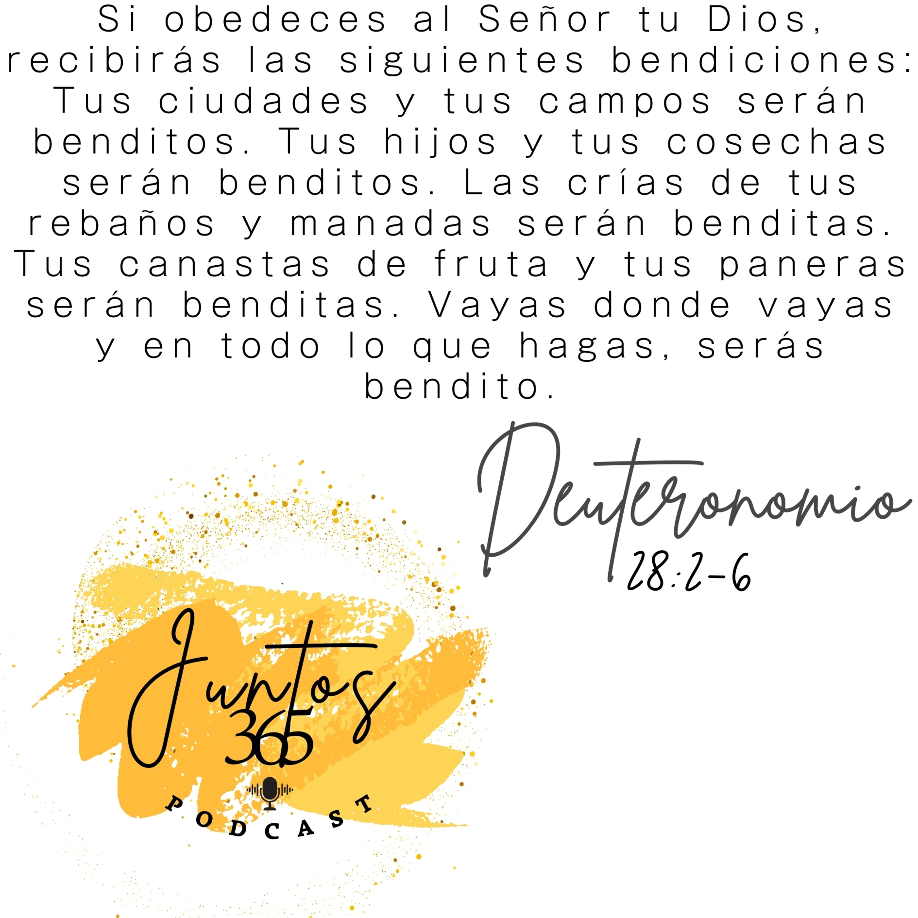 Lunes 30 de diciembre 2024. Esperanza por el nuevo año episode artwork