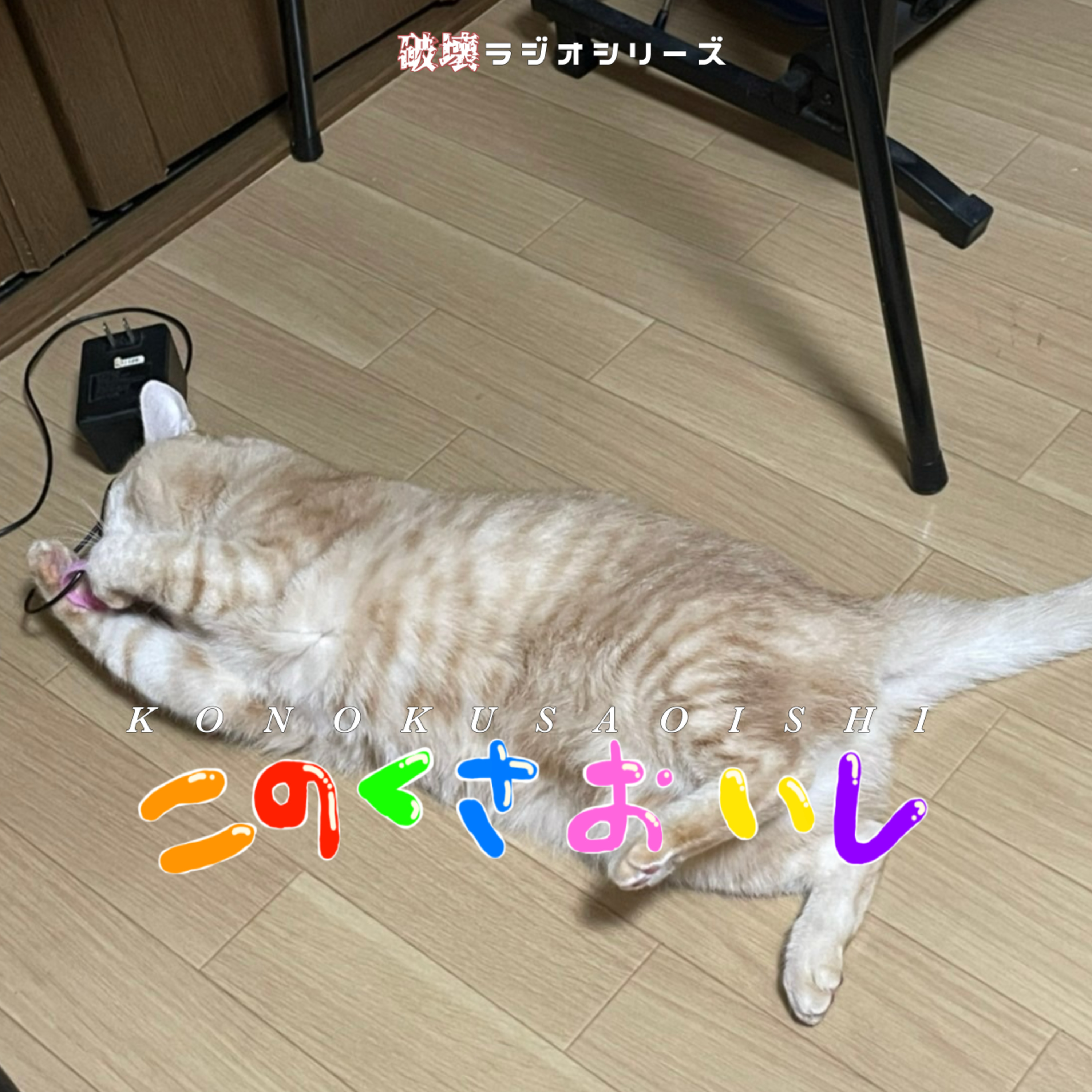 #10 ィウッ！？ほっほ（ゲスト：弟、弟が飼ってる猫） episode artwork
