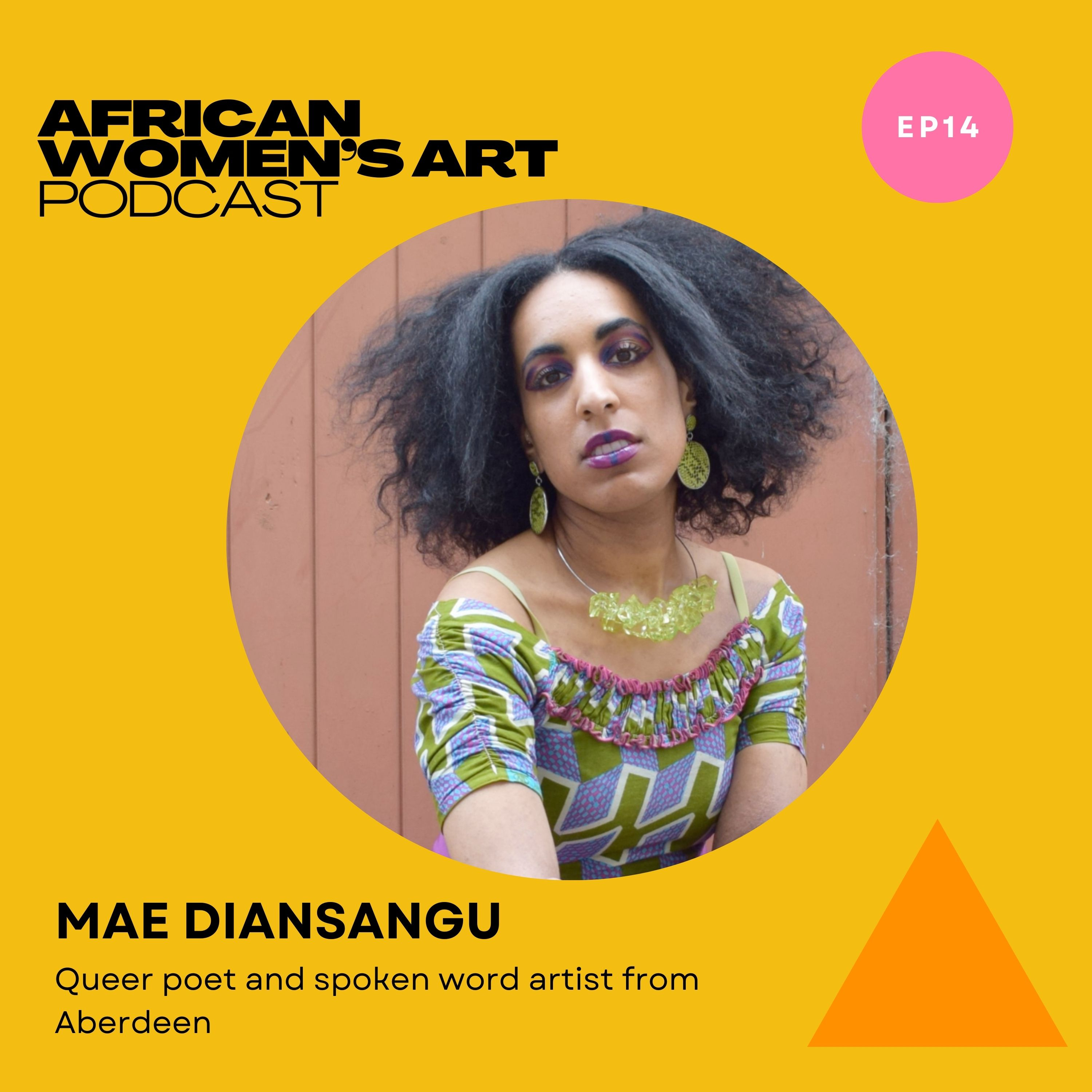 African Women\'s Art