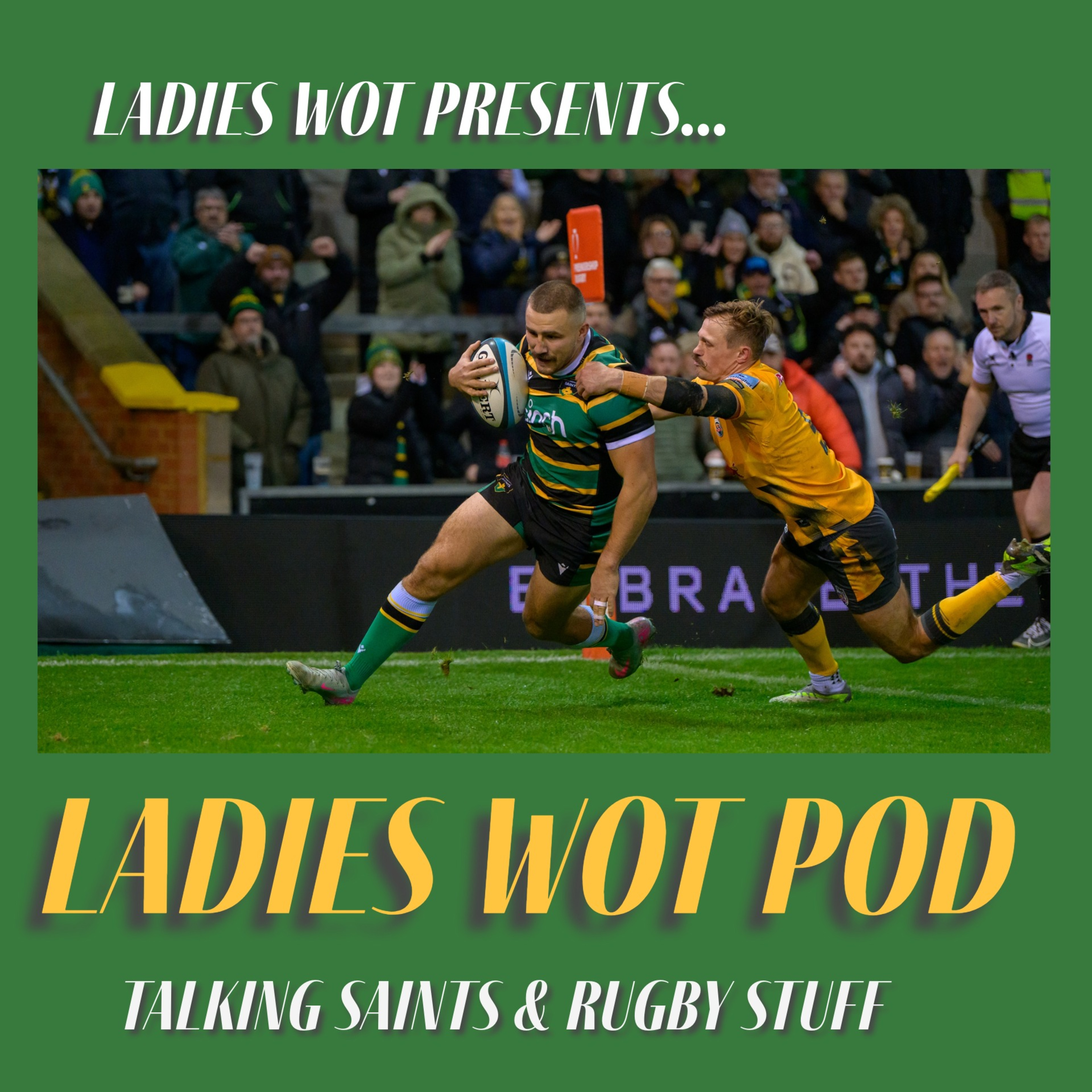Ladies Wot Pod Series 2!! Episode 17 - Blues win, Saints suffer a first loss and a lot of international rugby episode artwork