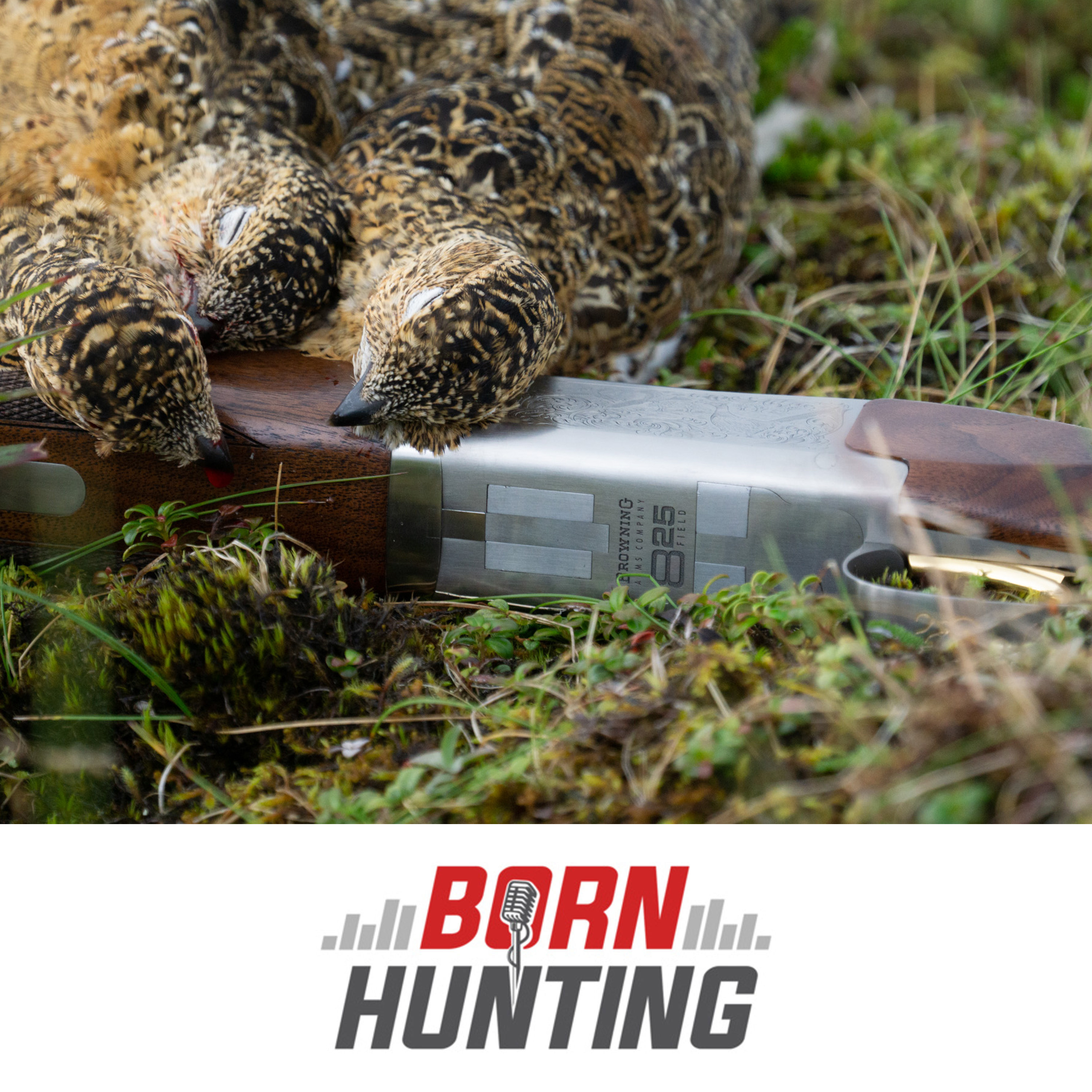 Born Hunting