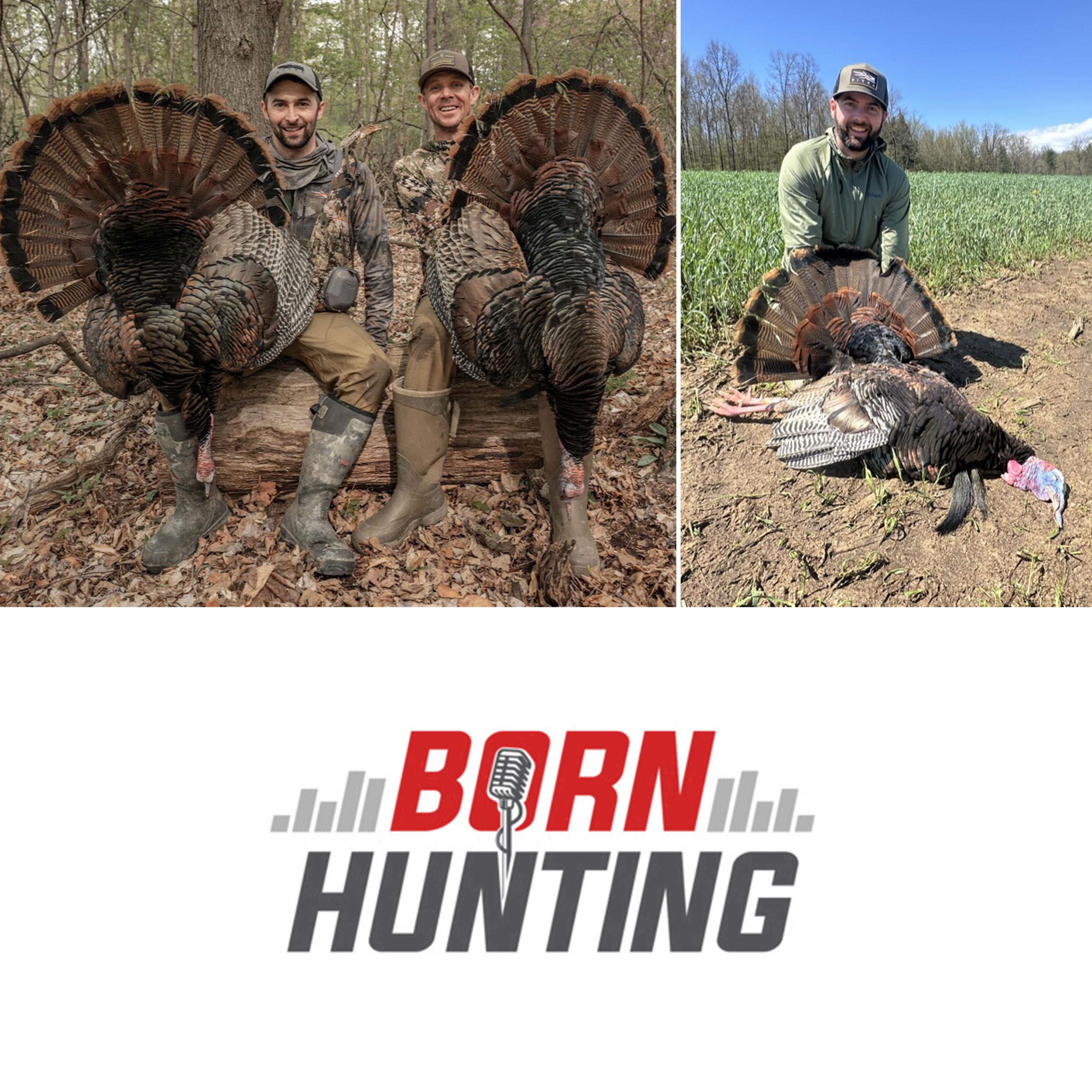 Born Hunting