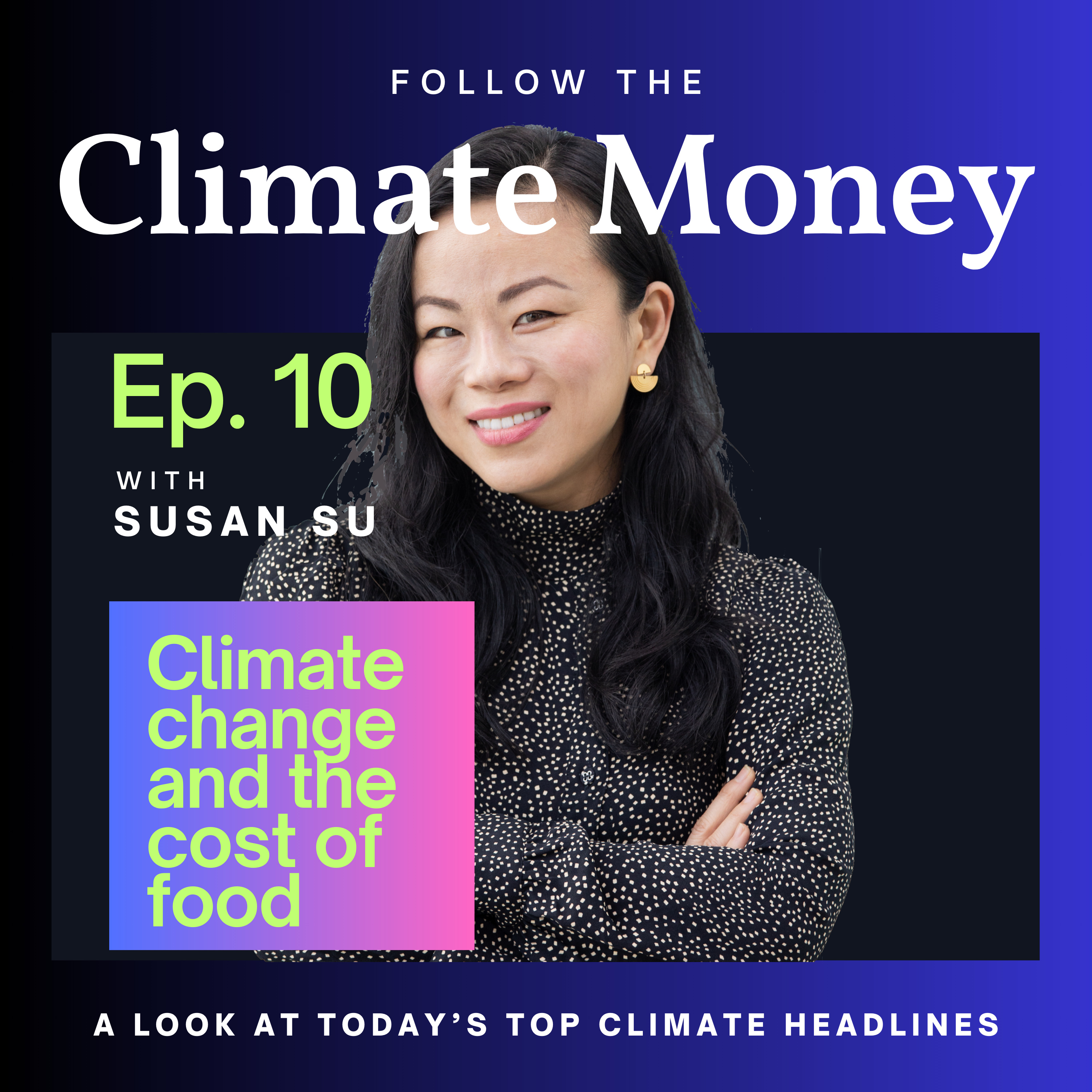 Climate change and the cost of food episode artwork