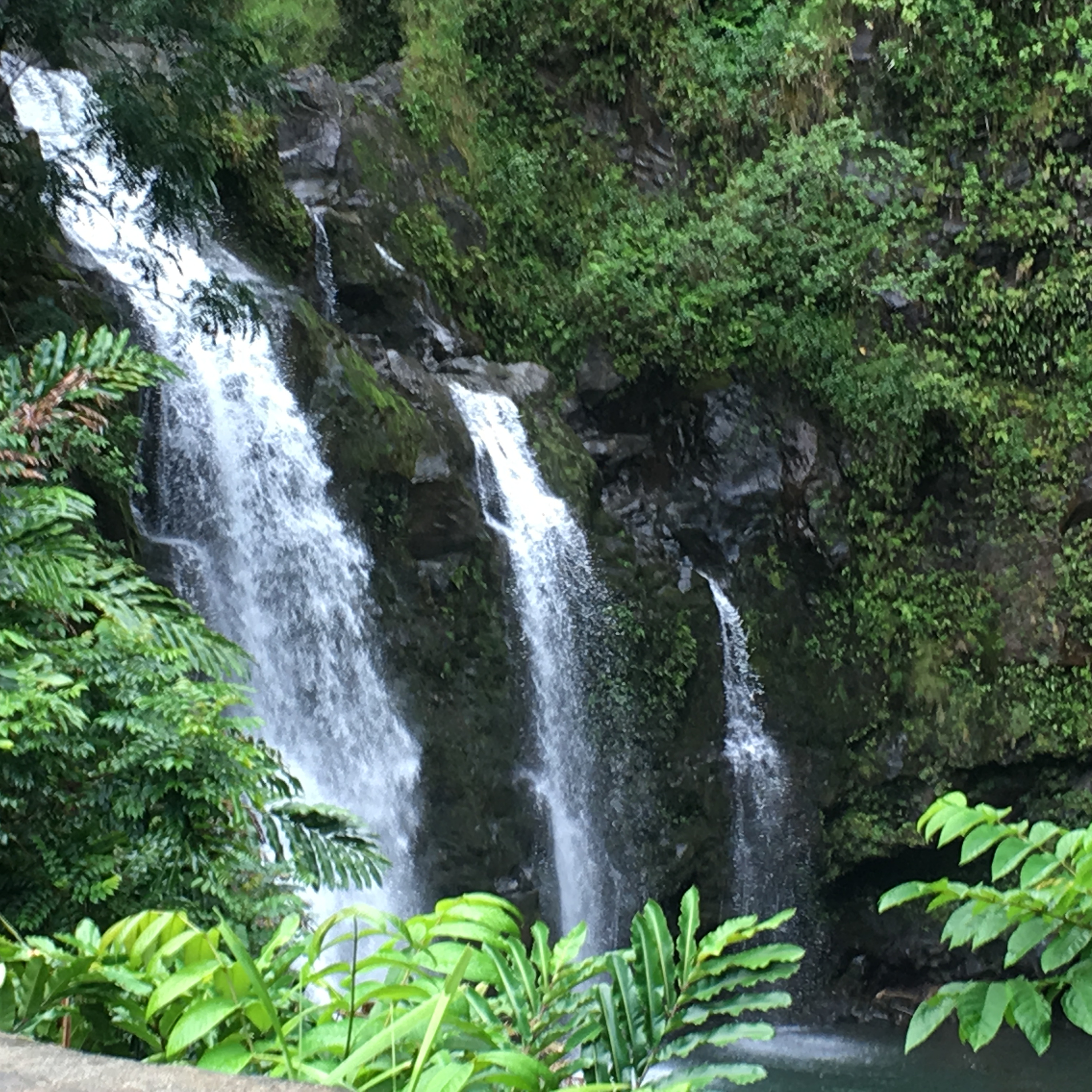 cover of episode Ep #12 - (Maui, Hawaii)The Best Wine Grown On The Side Of A Volcano - -The Maui Winery