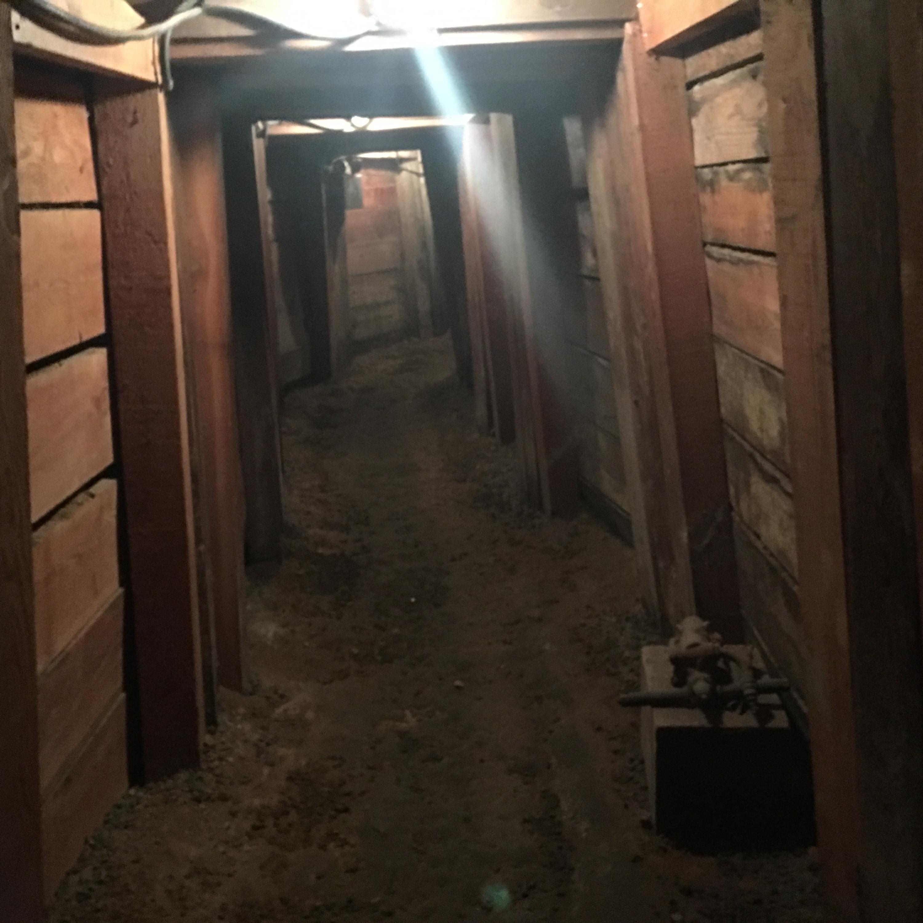 cover of episode Ep #19--(Virginia City, Nevada) Cashing In On A 19th Century Blue Silver Mine