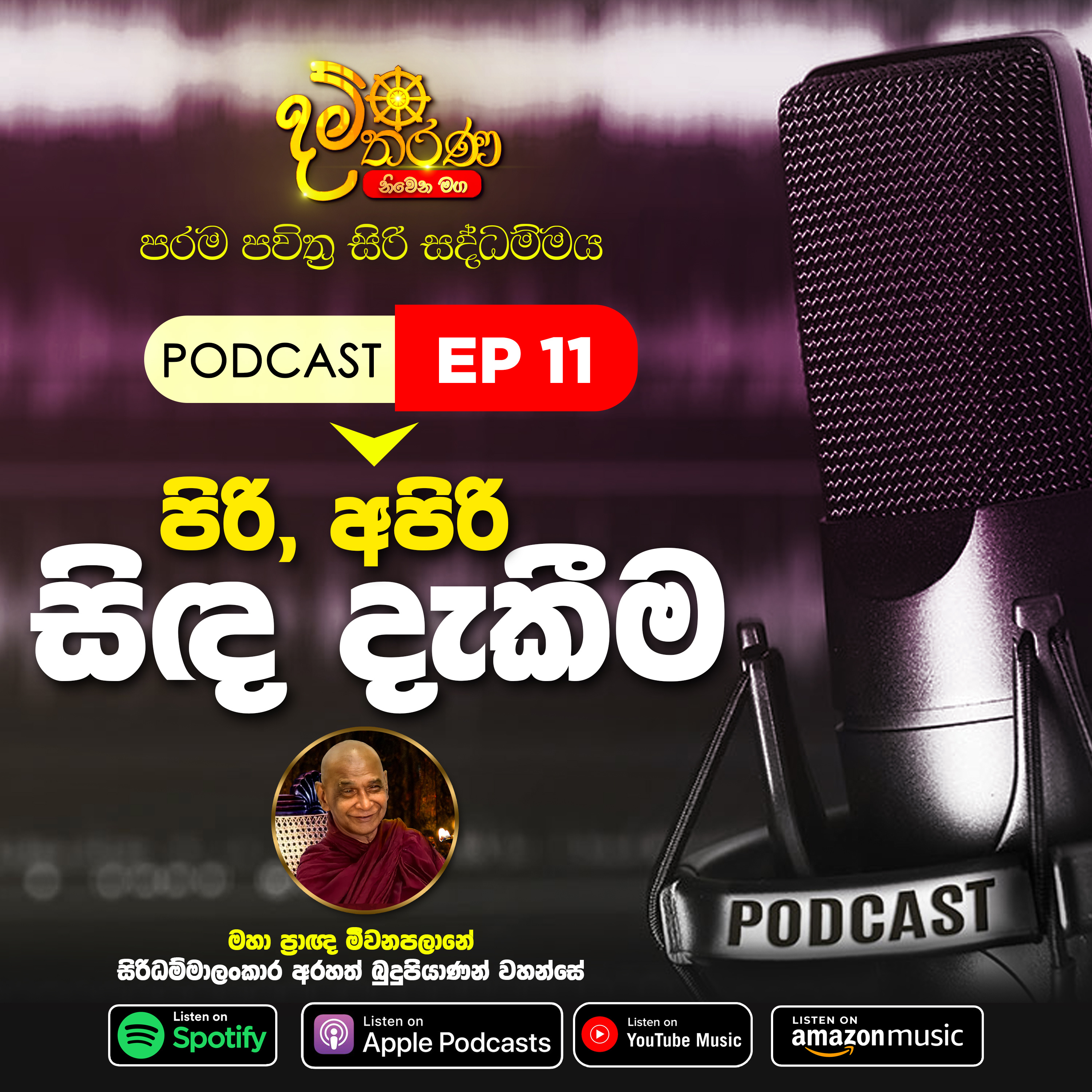 11 - පිරි අපිරි සිද දැකීම episode artwork