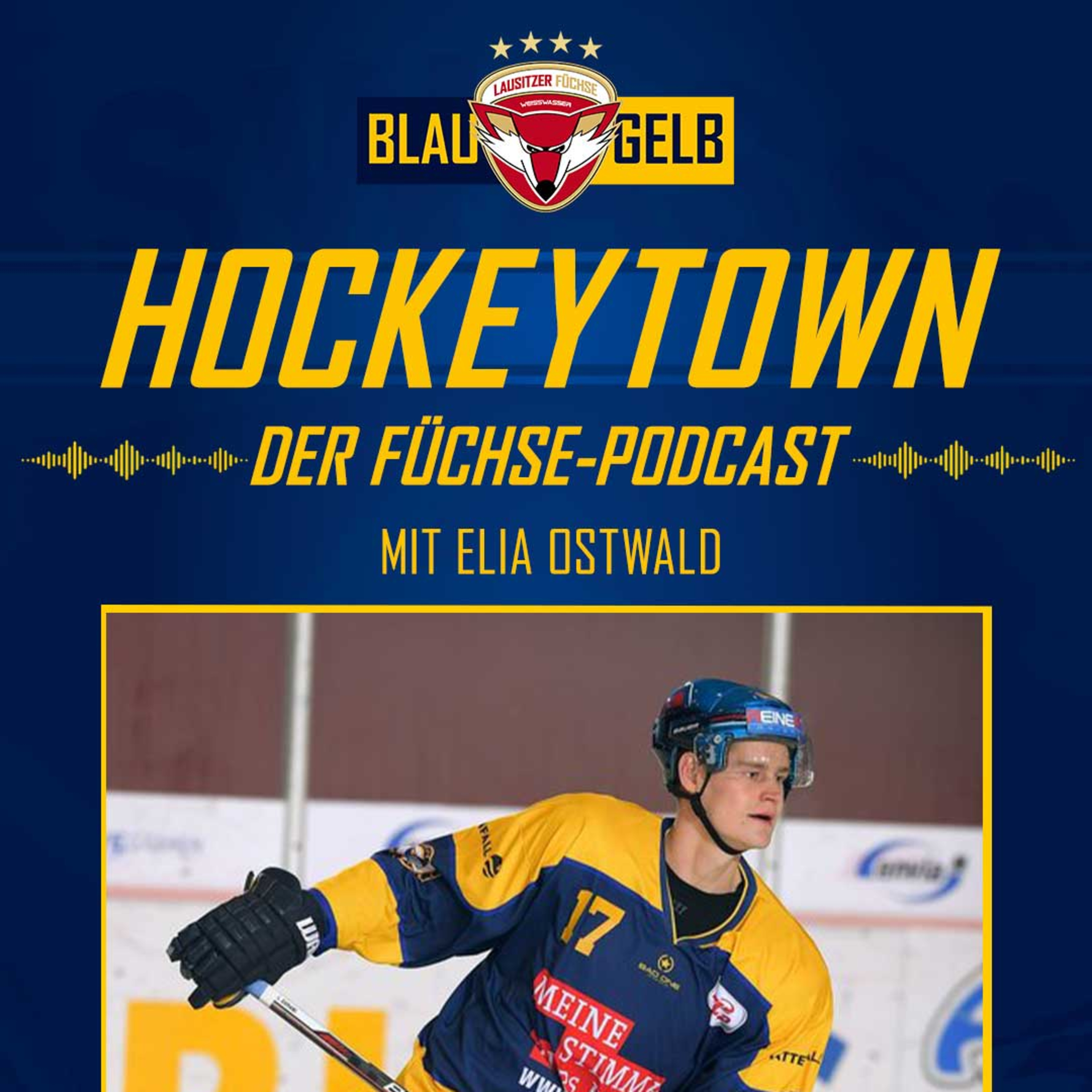 Blau. Gelb. Hockeytown. Der Füchse-Podcast.