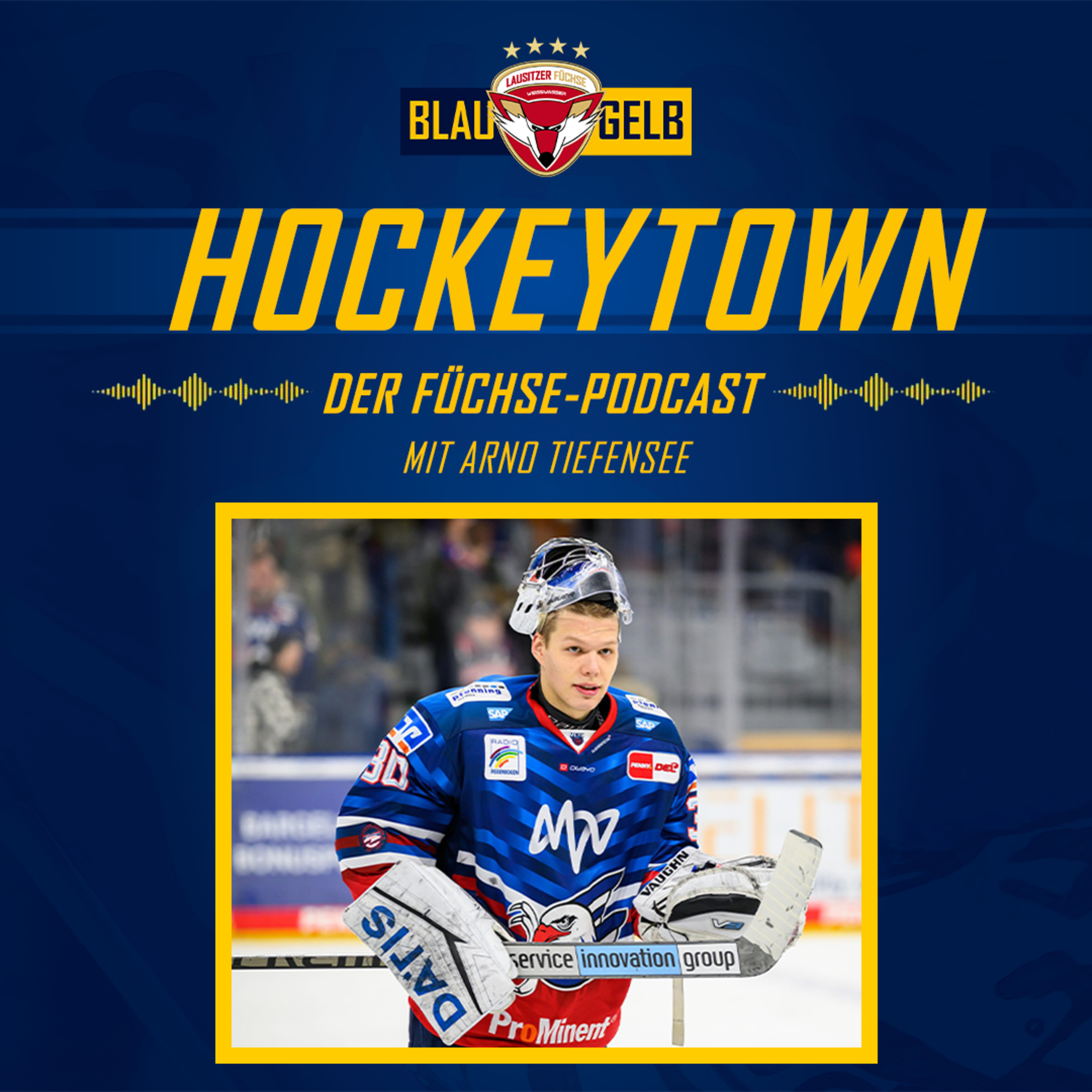 Blau. Gelb. Hockeytown. Der Füchse-Podcast.