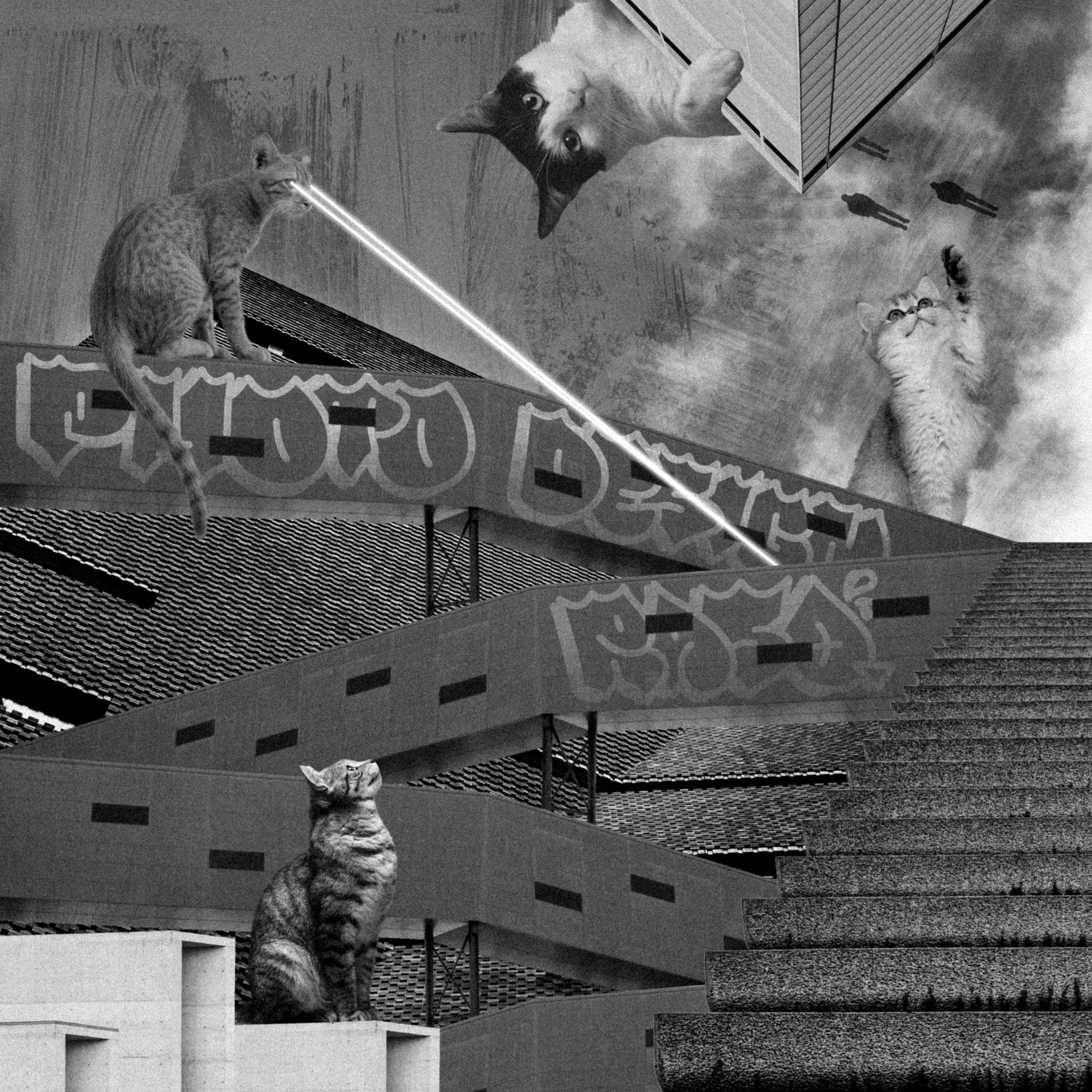 03. Φωτογραφία και Design