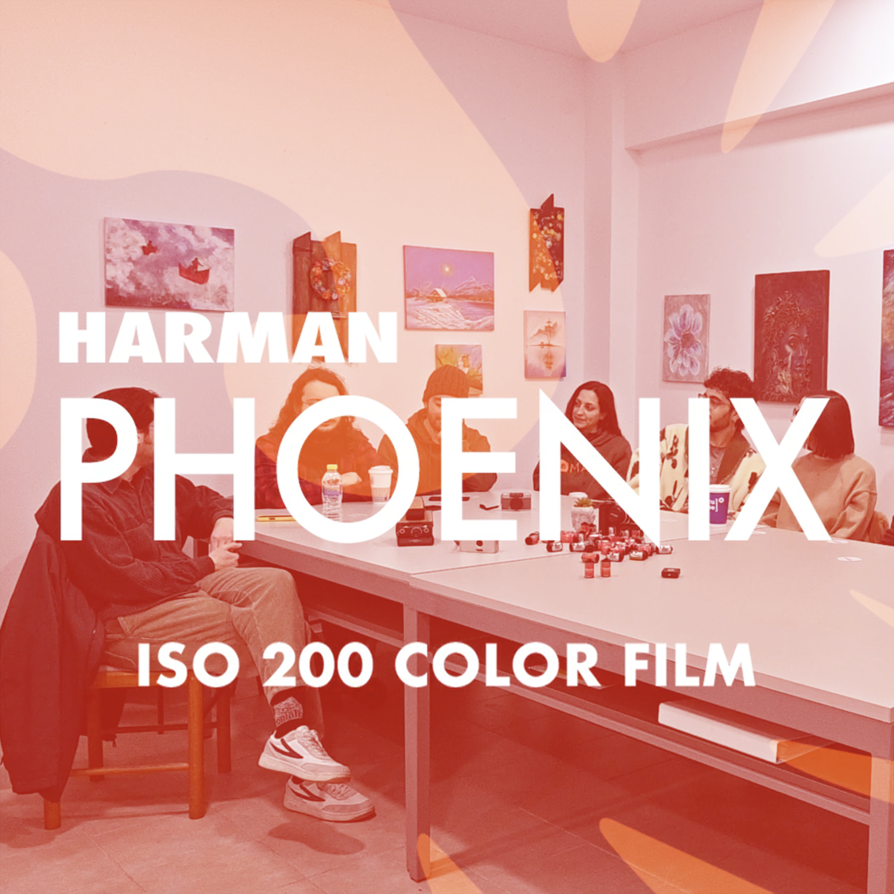 16. HARMAN PHOENIX