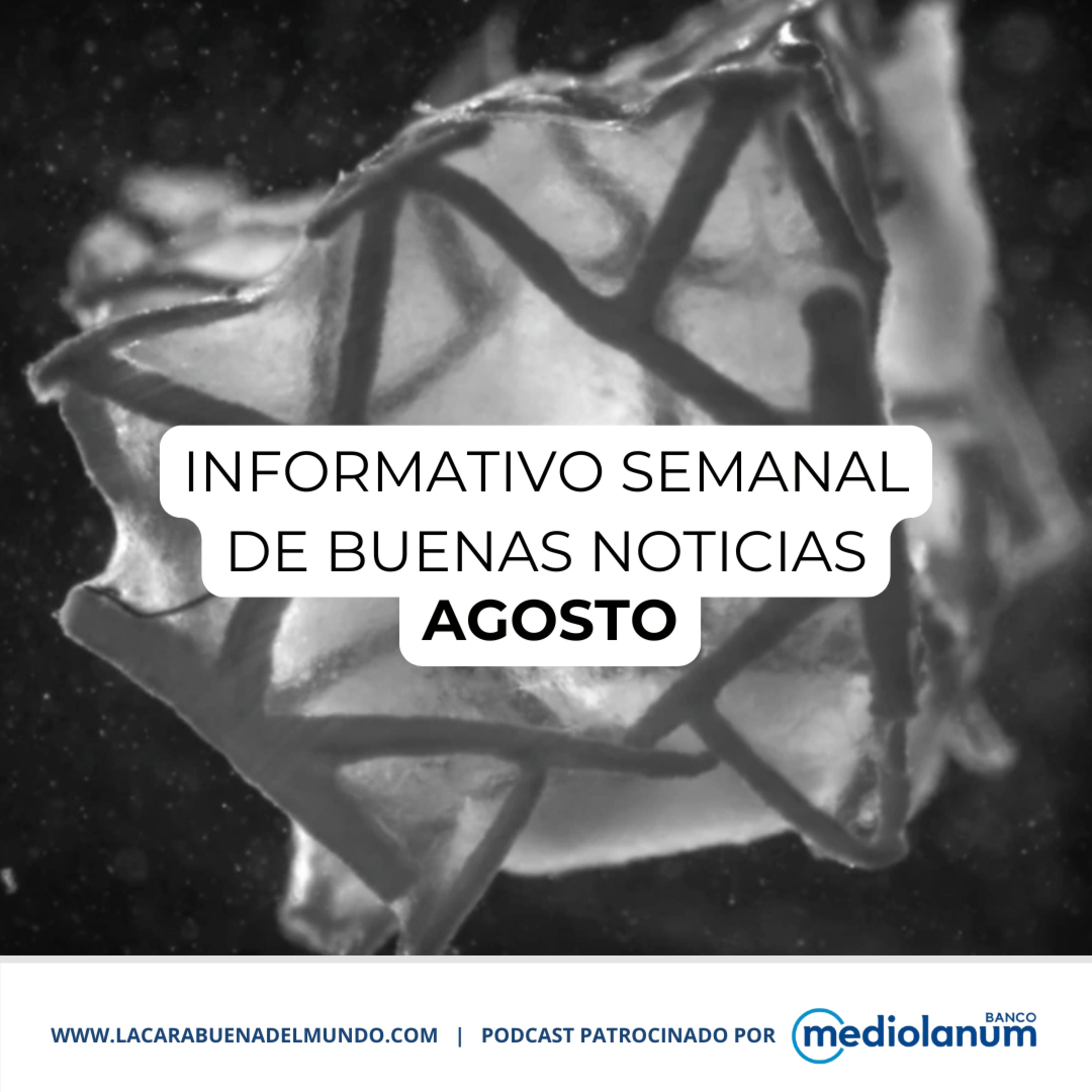 La Cara Buena del Mundo