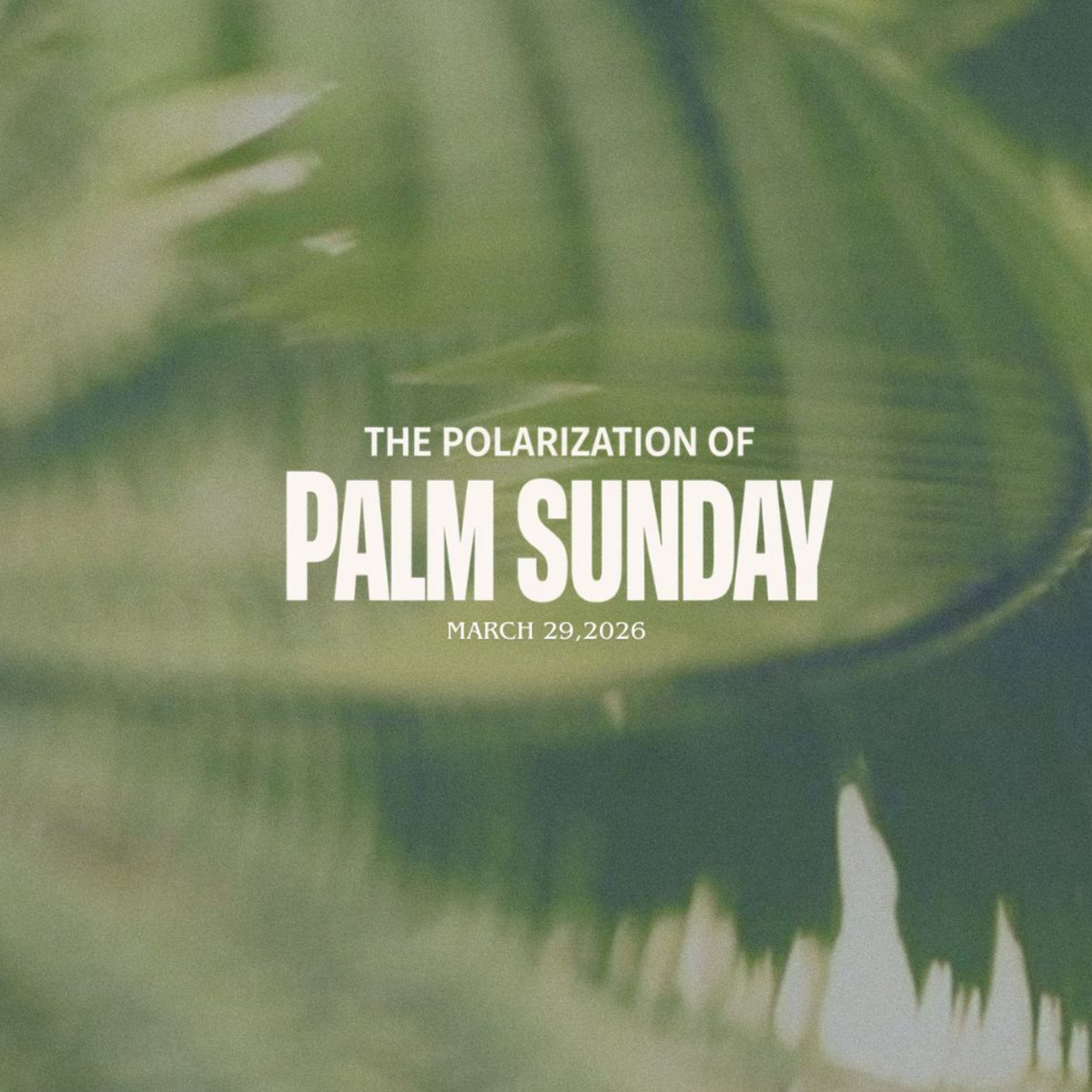 The Polarization of Palm Sunday episode artwork