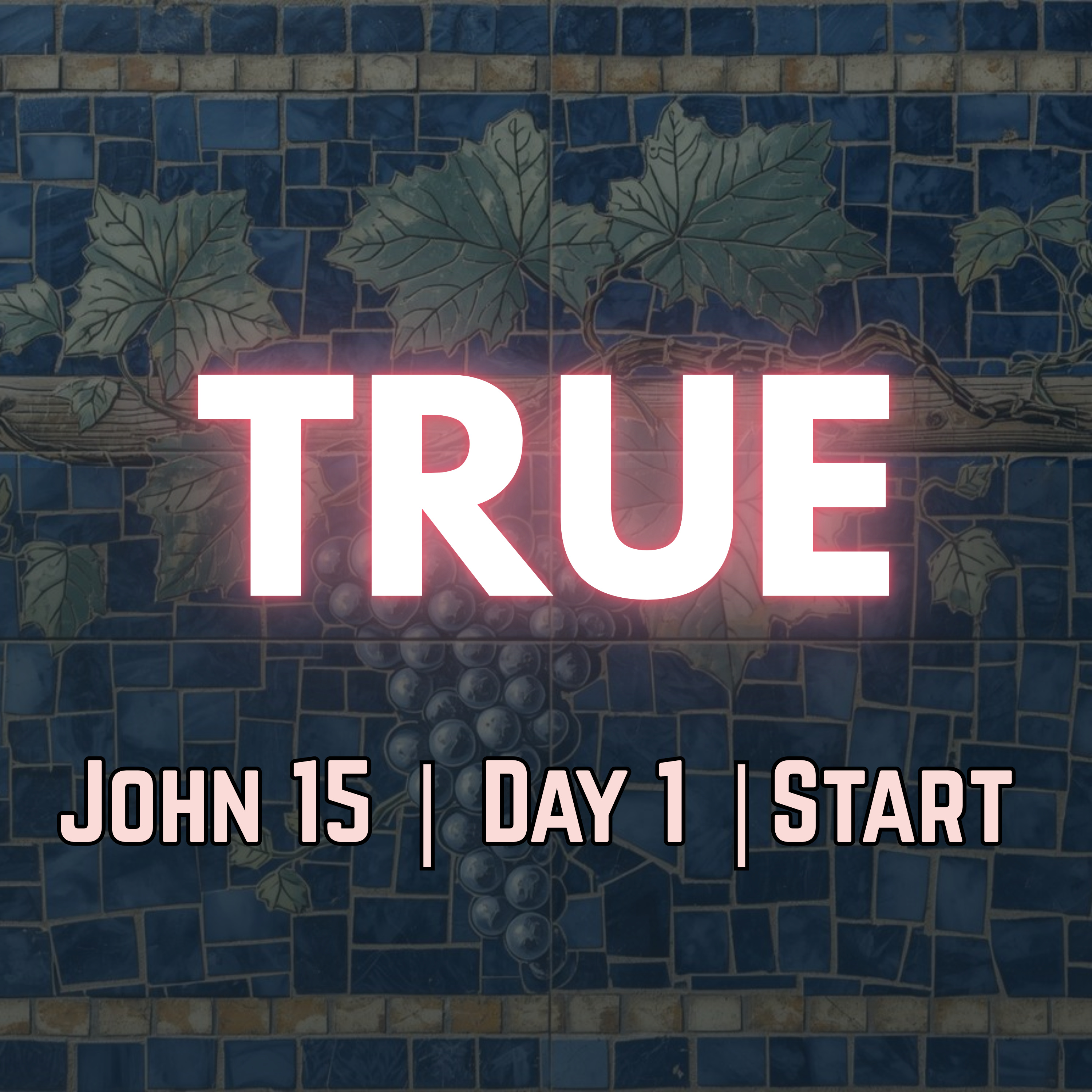 I Am the True Vine | John 15:1 | Day 1 of 27 | Daily Christian Meditation episode artwork
