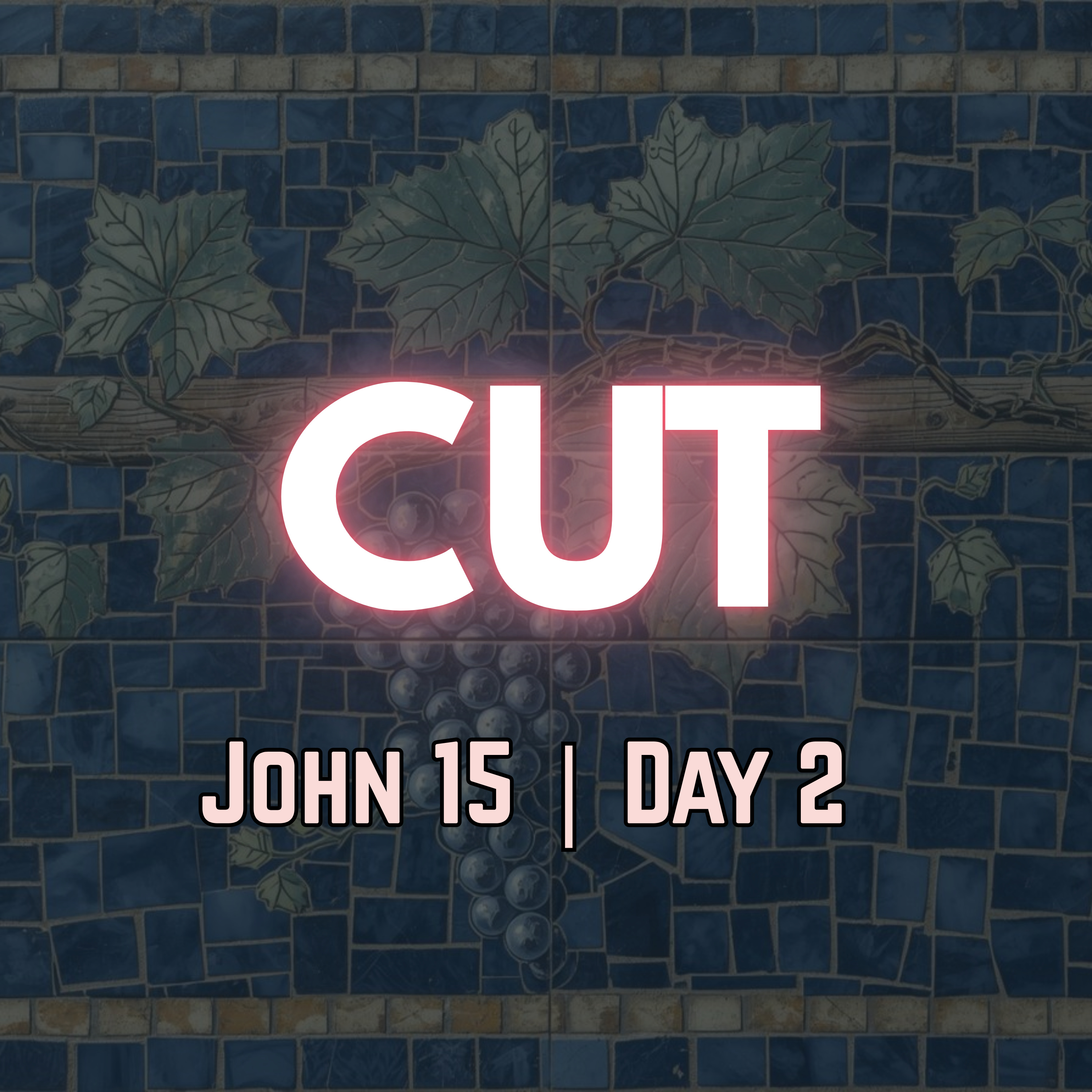 Pruned to Bear More Fruit | John 15:2 | Day 2 of 27 | Daily Christian Meditation episode artwork
