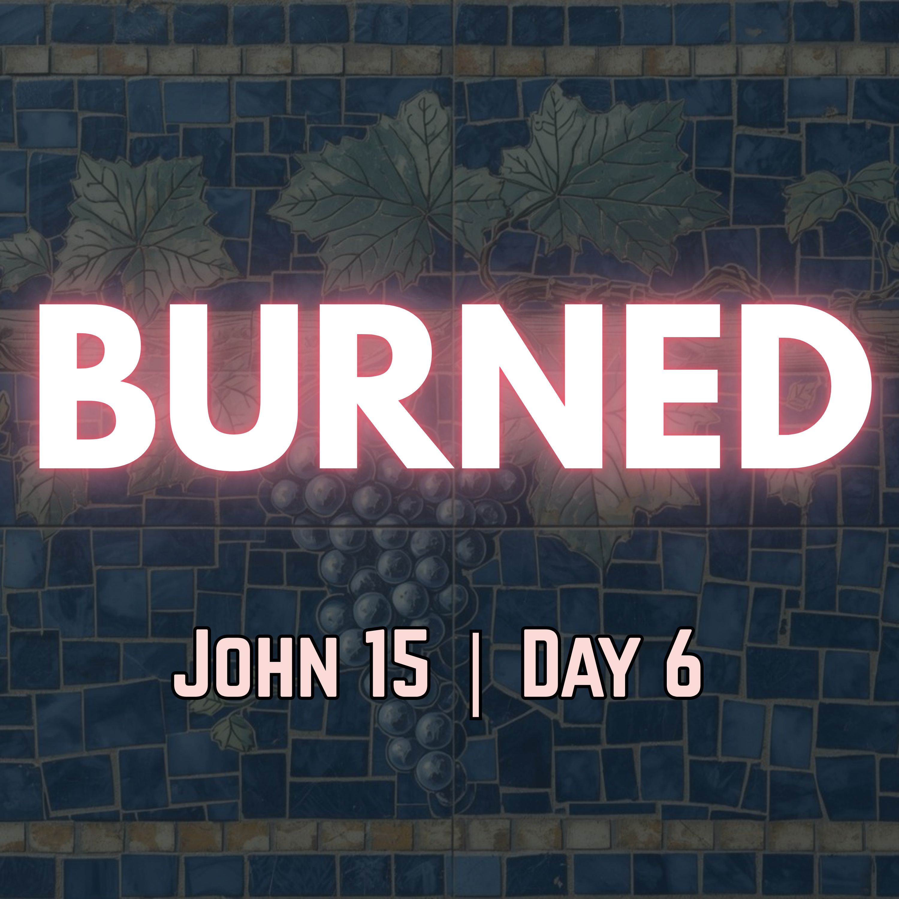 The Branch That Withers | John 15:6 | Day 6 of 27 | Daily Christian Meditation episode artwork