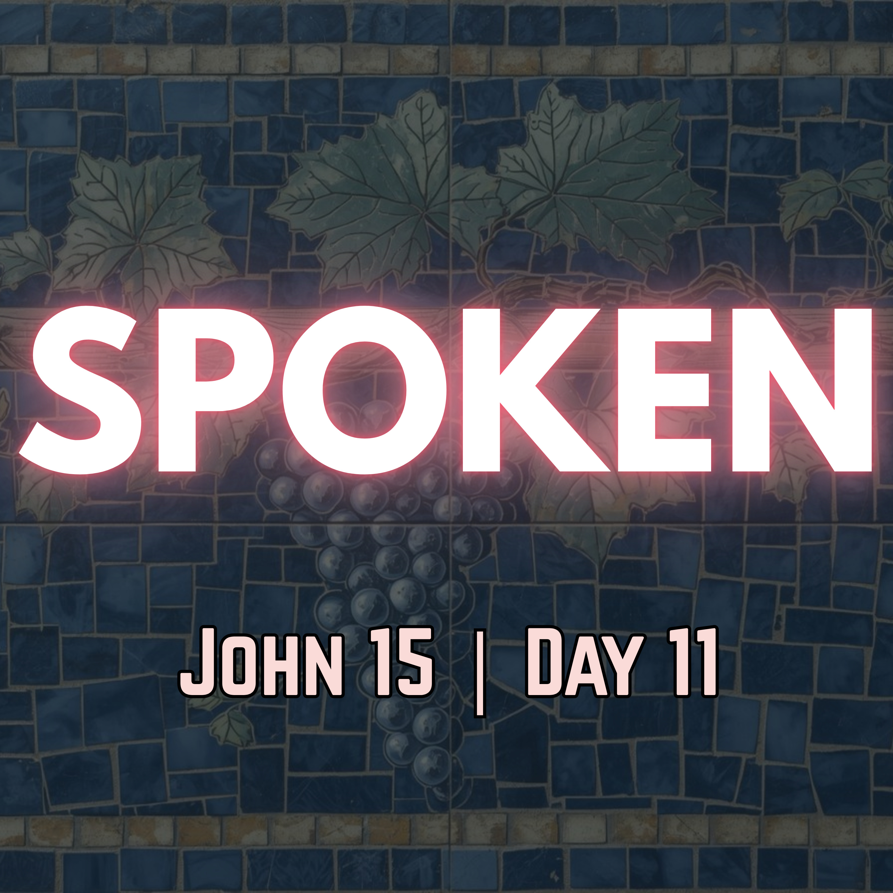 That Your Joy May Be Full | John 15:11 | Day 11 of 27 | Daily Christian Meditation episode artwork