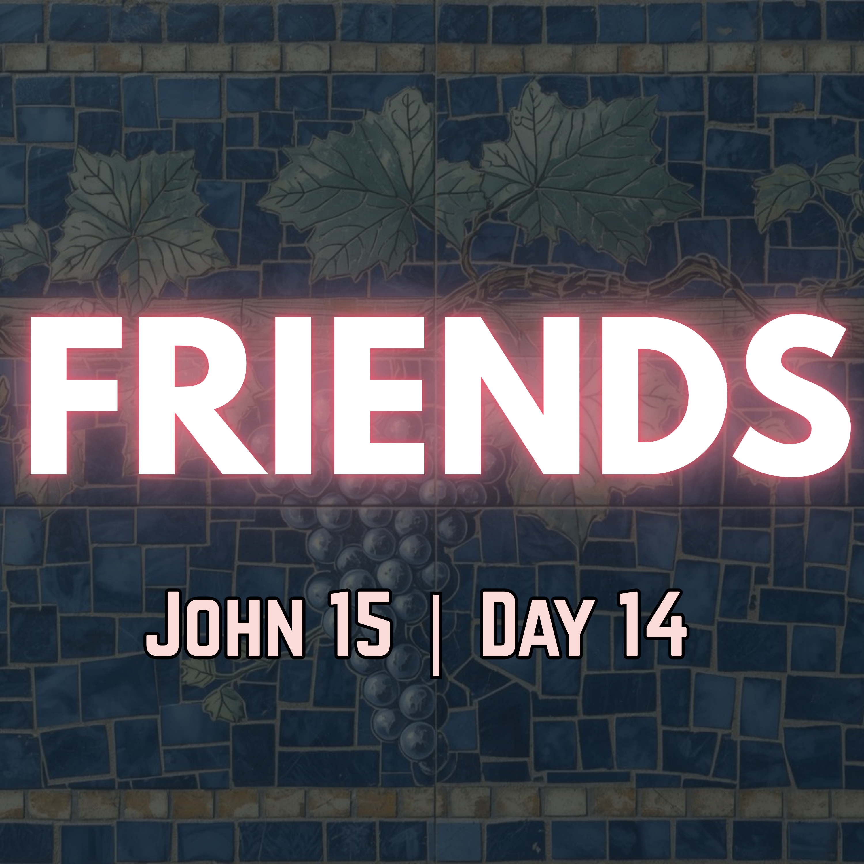  Friends of God | John 15:14 | Day 14 of 27 | Daily Christian Meditation episode artwork