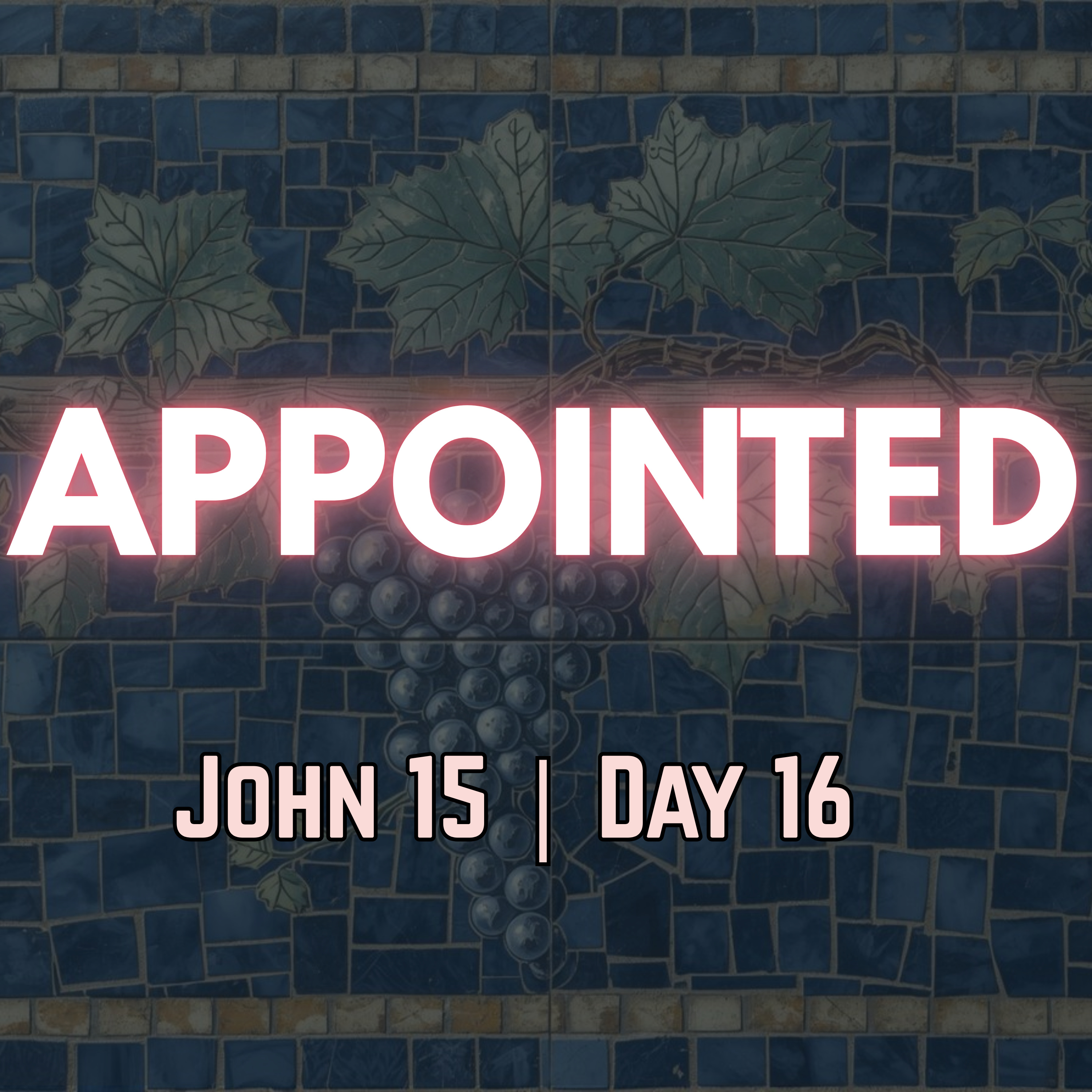 You Did Not Choose Me | John 15:16 | Day 16 of 27 | Daily Christian Meditation episode artwork