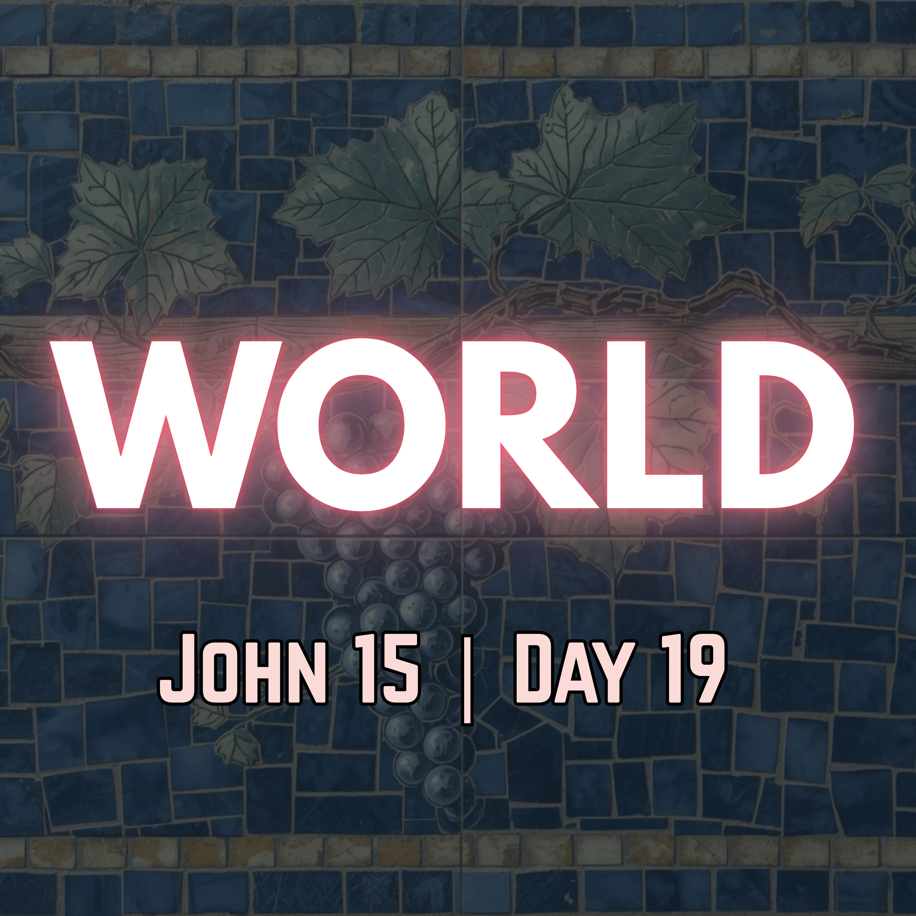 Chosen Out of the World | John 15:19 | Day 19 of 27 | Daily Christian Meditation episode artwork