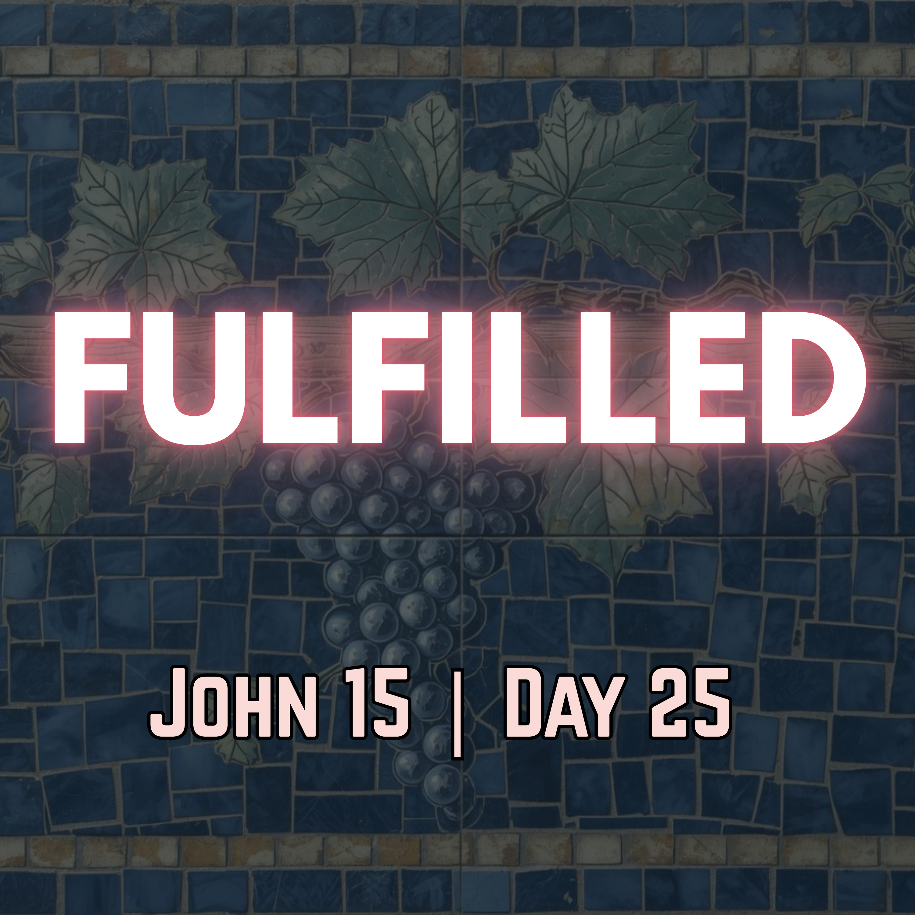 They Hated Me Without a Cause | John 15:25 | Day 25 of 27 | Daily Christian Meditation episode artwork