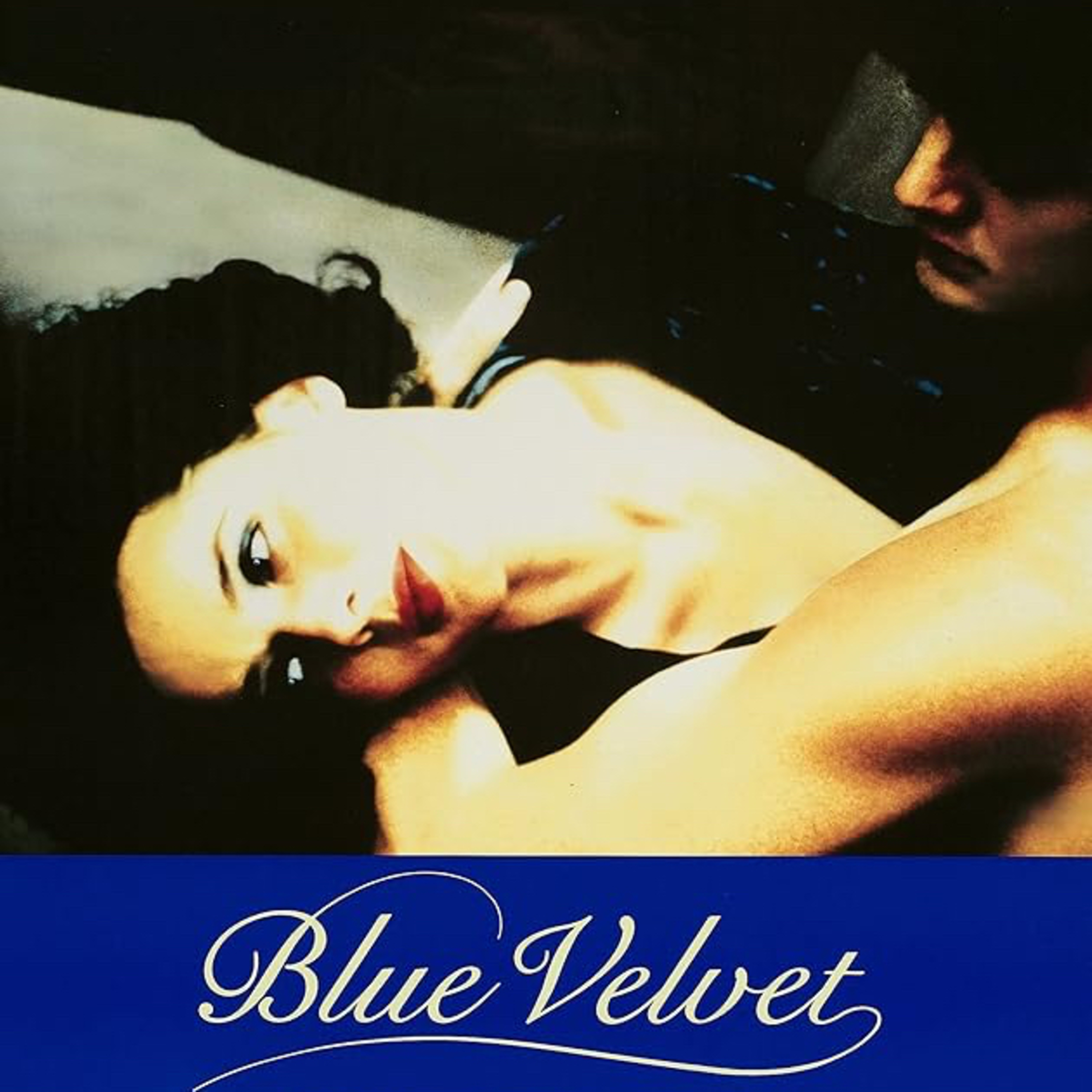 The Box Office Bears Movie Podcast