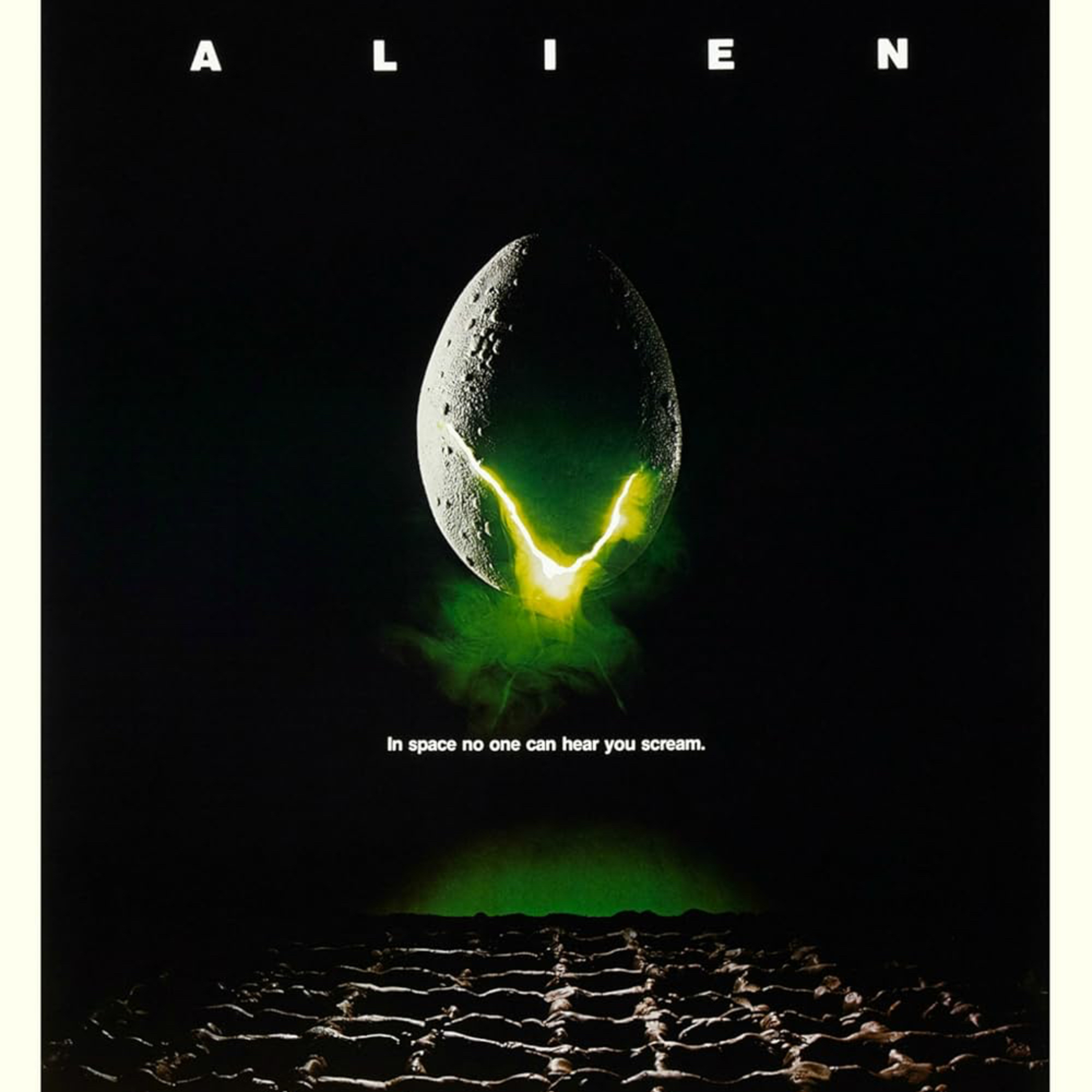 The Box Office Bears Movie Podcast