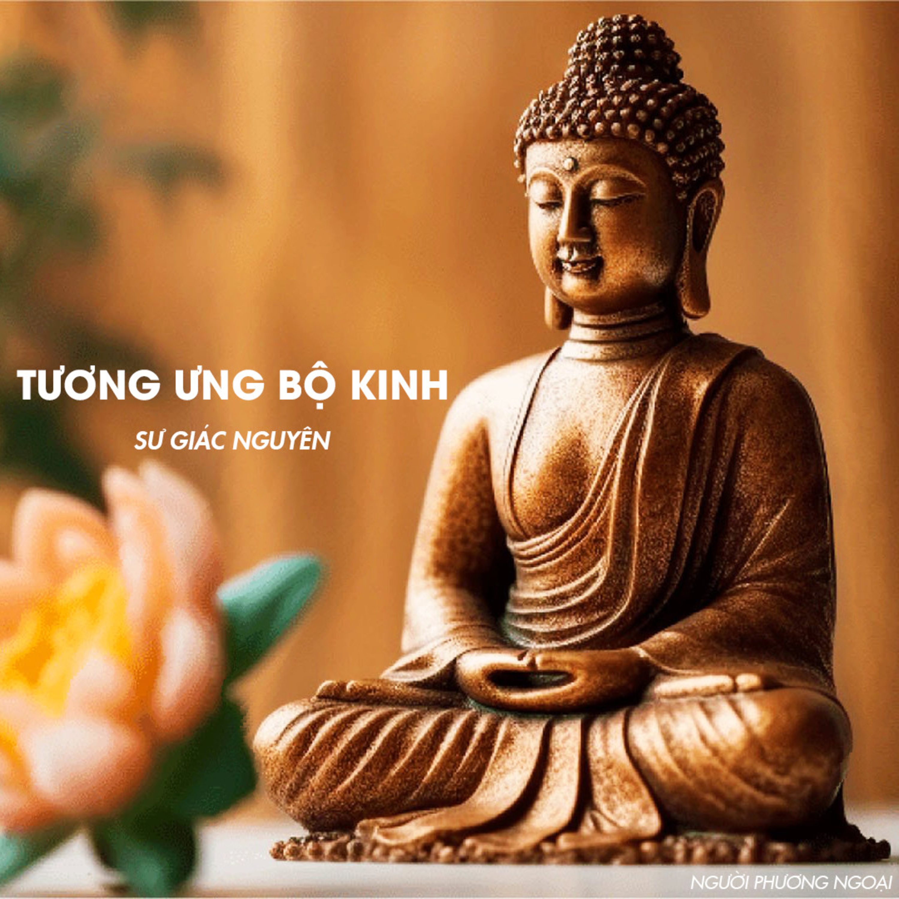 Sư Toại Khanh - Kinh Tương Ưng bài 158