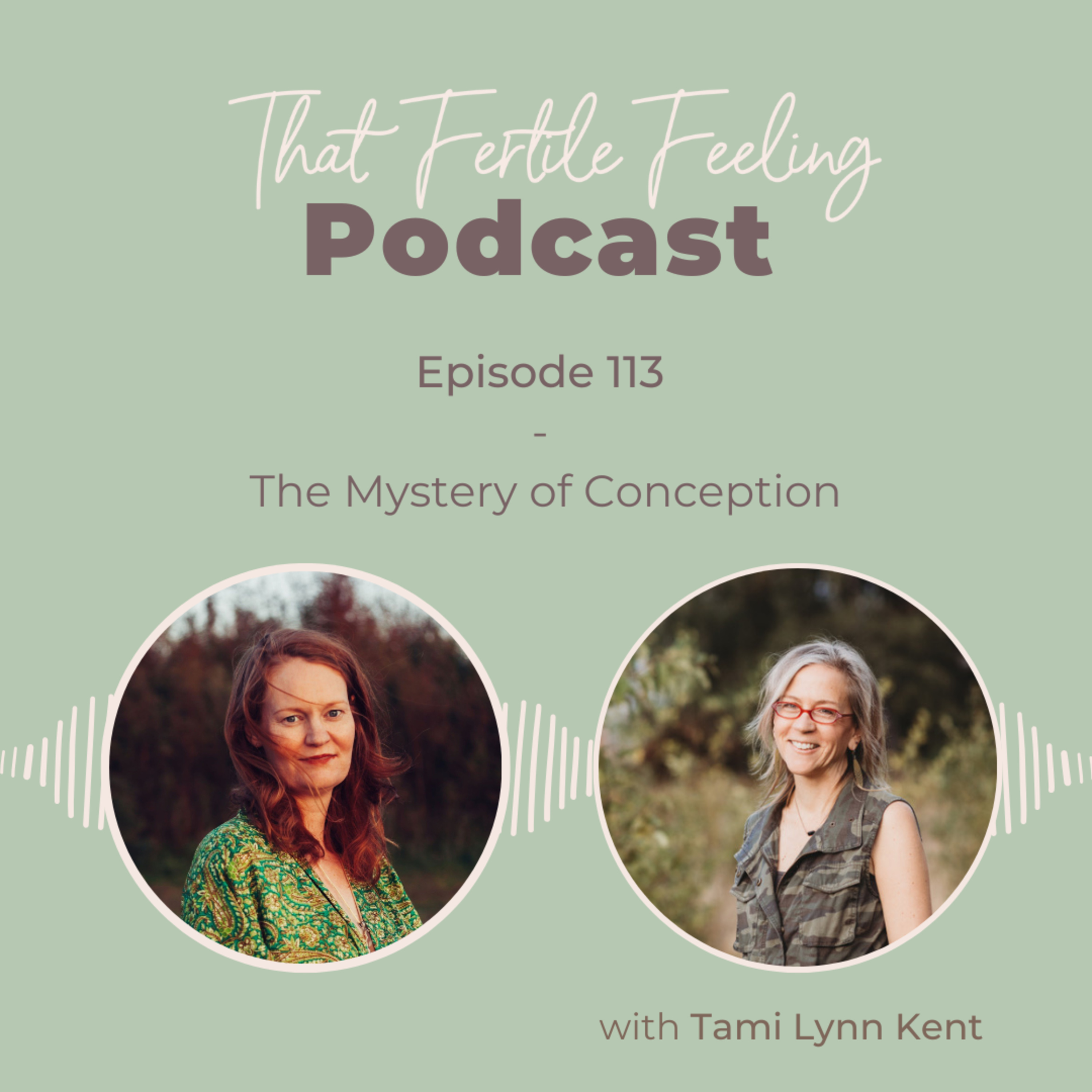 Episode 113 - The mystery of conception w/ Tami Lynn Kent