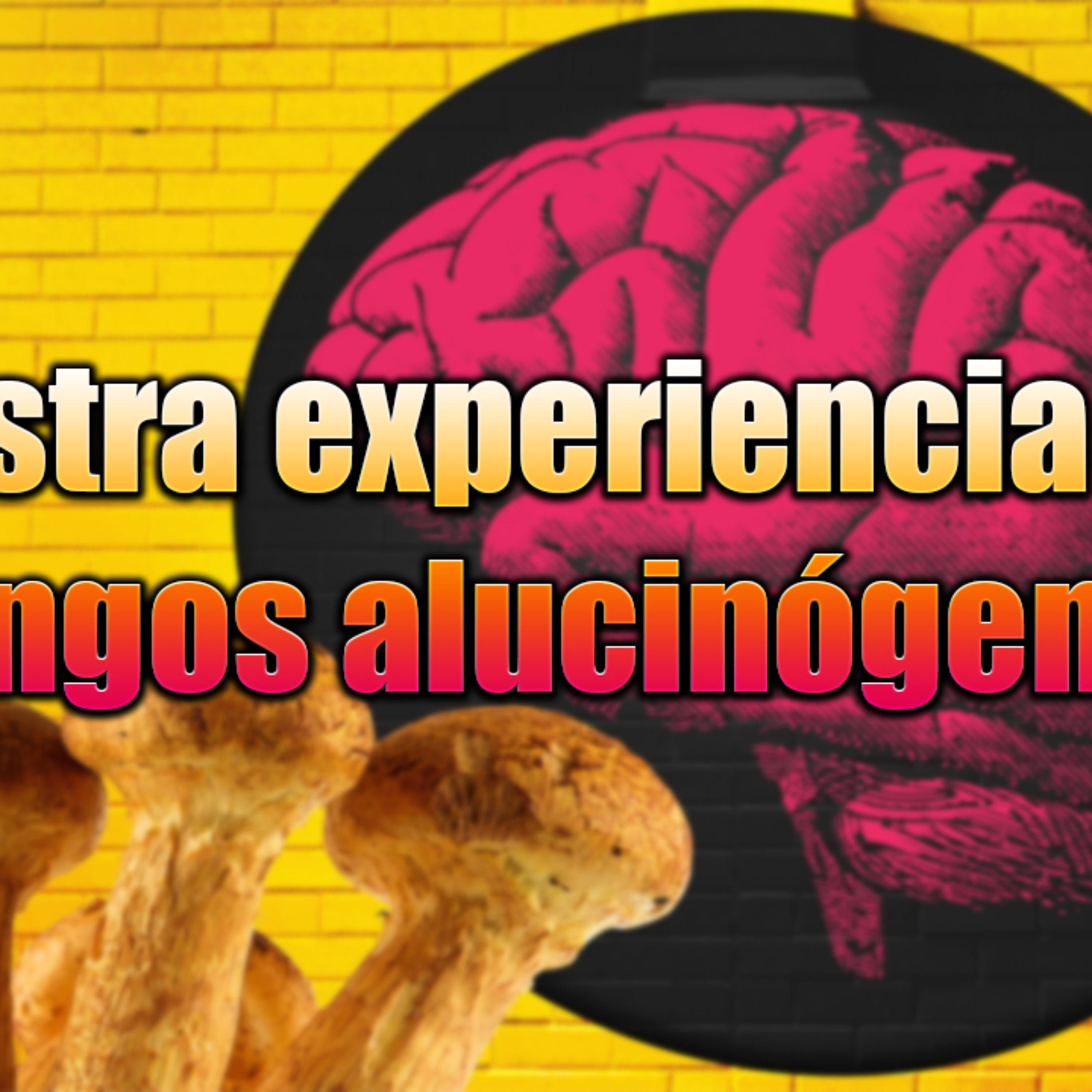 Maltripeo Podcast