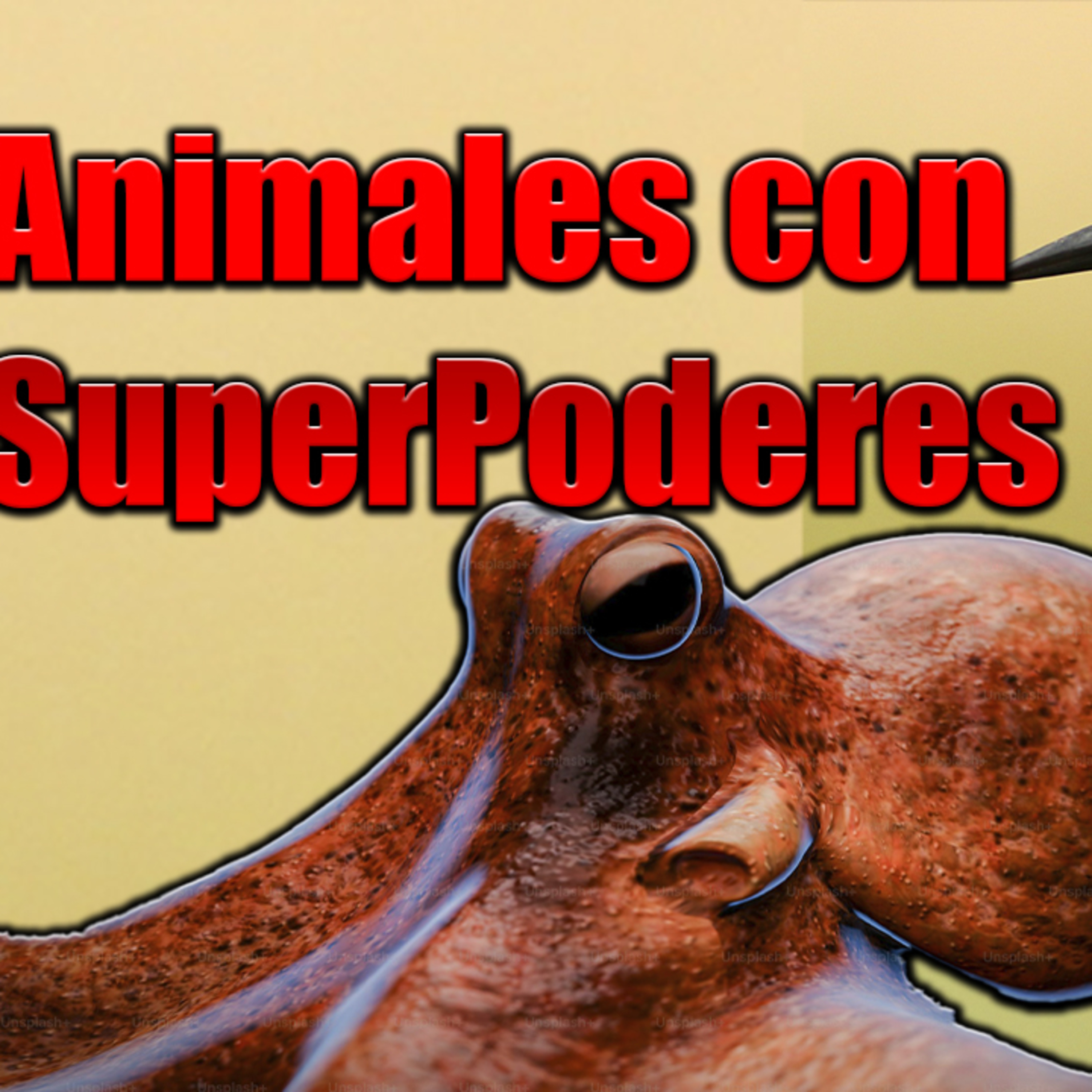 Maltripeo Podcast