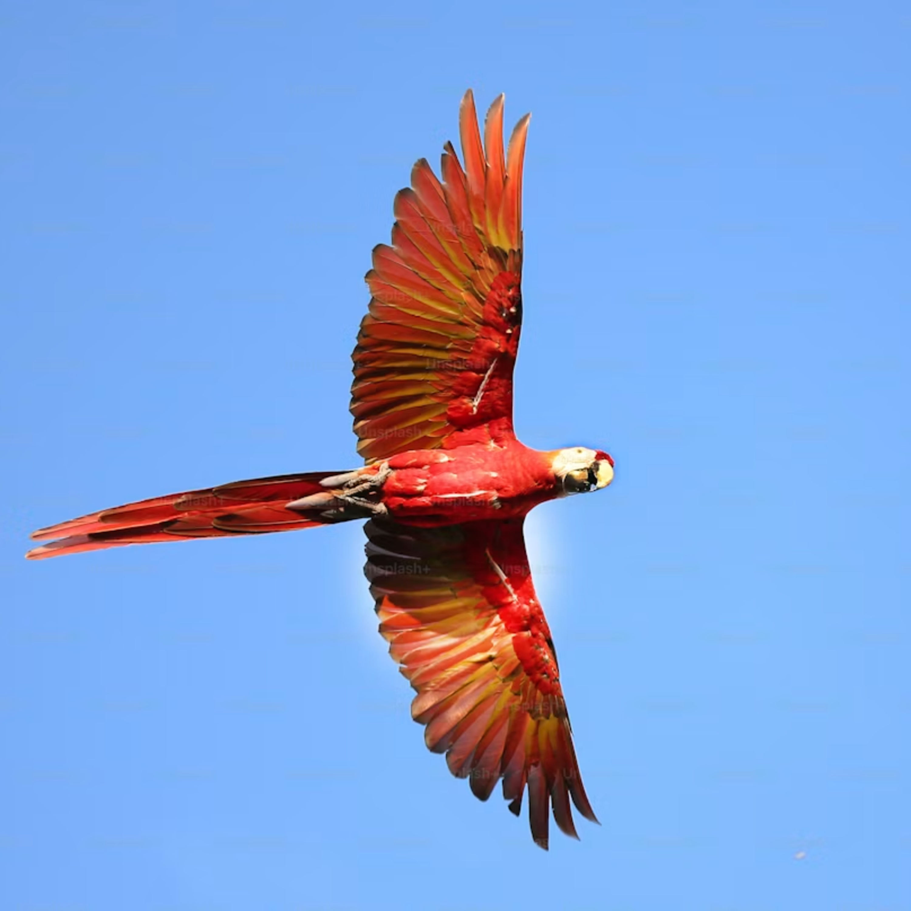 Aasi ( Tamil Podcast )