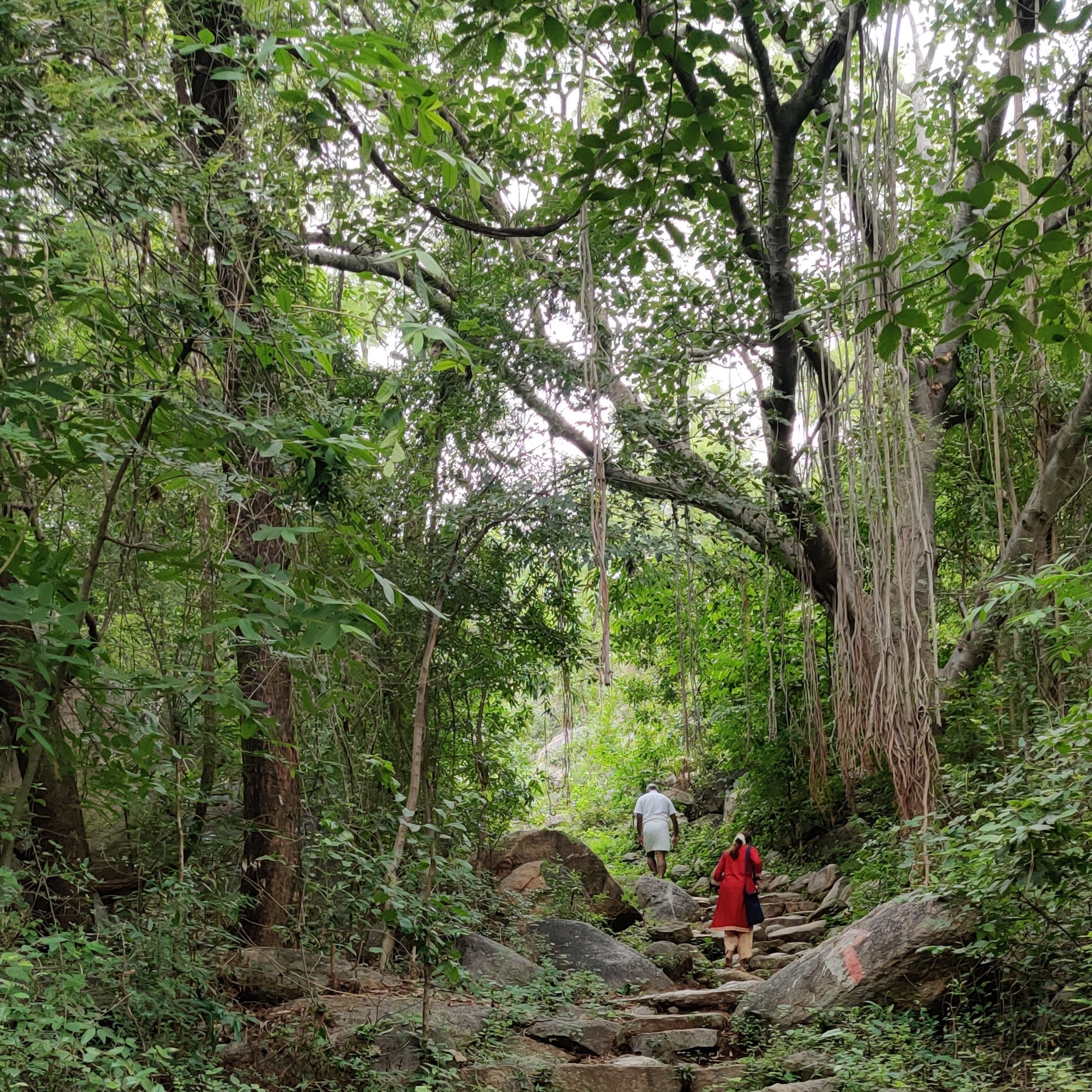 Aasi ( Tamil Podcast )