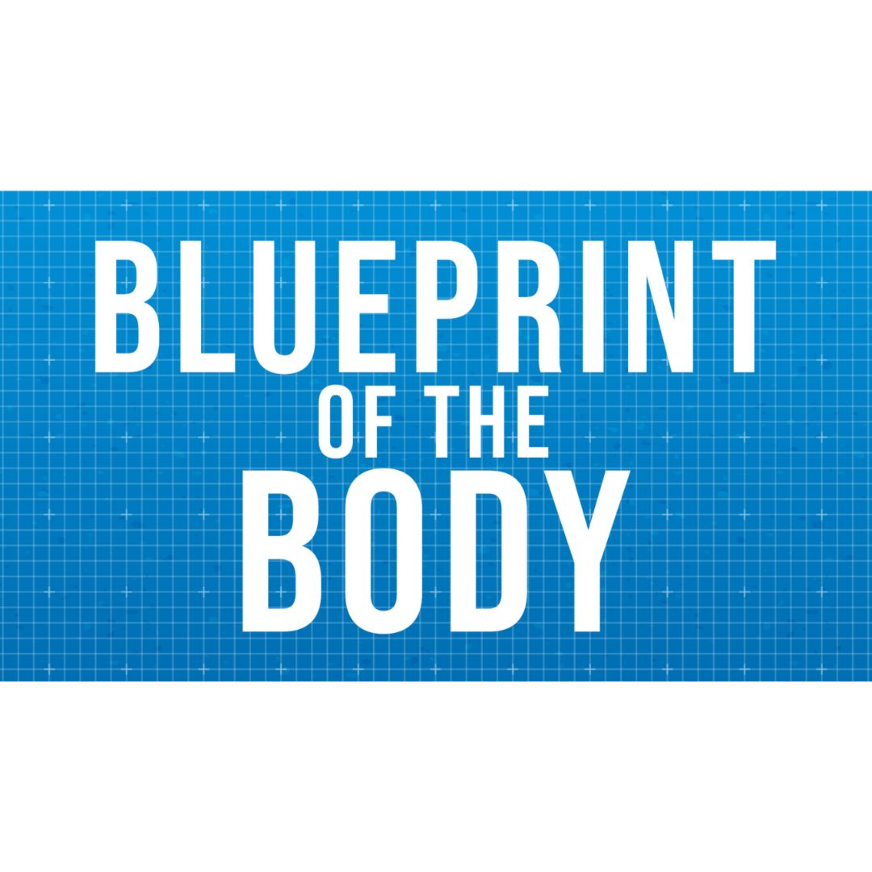 Blueprint of the Body episode artwork