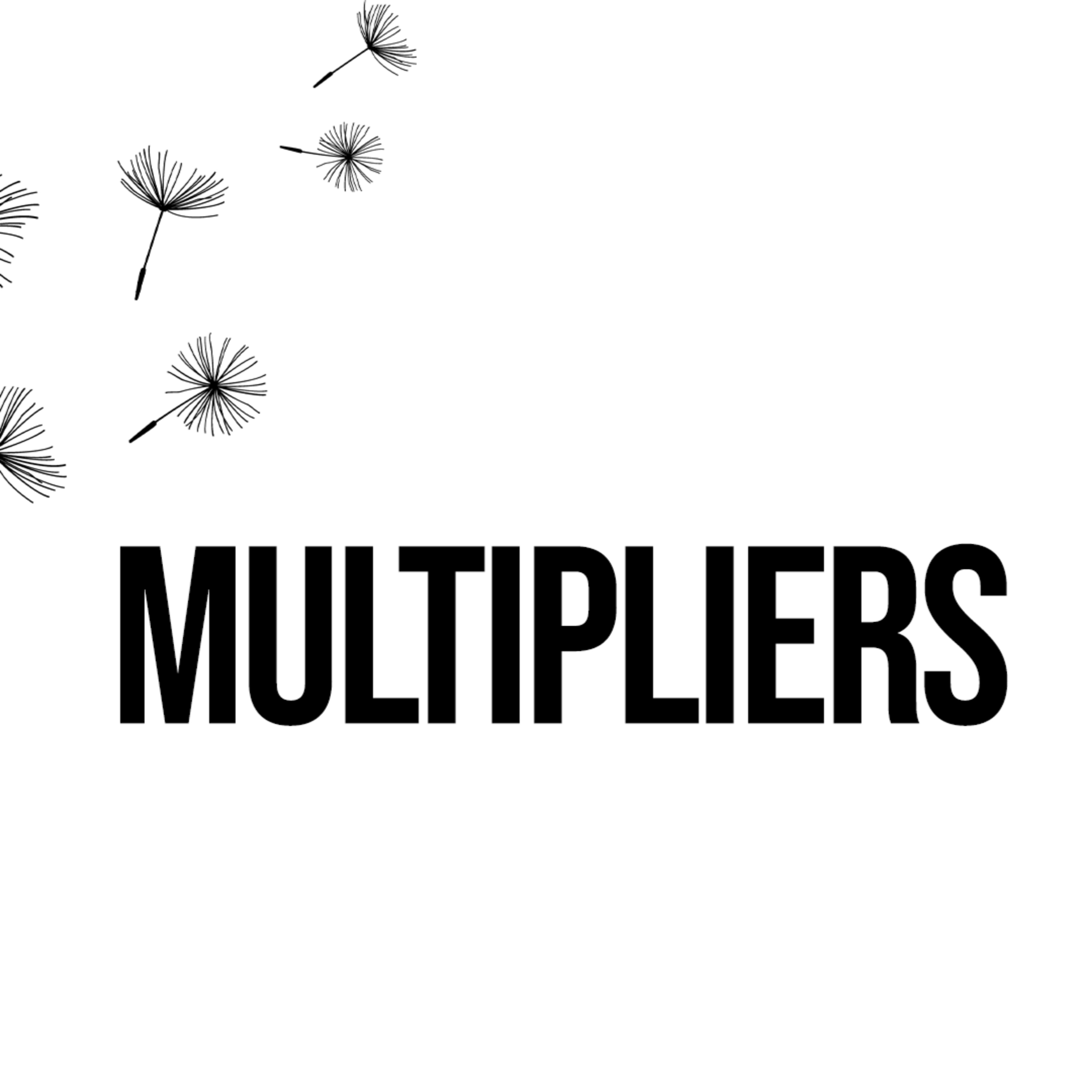 Multipliers episode artwork