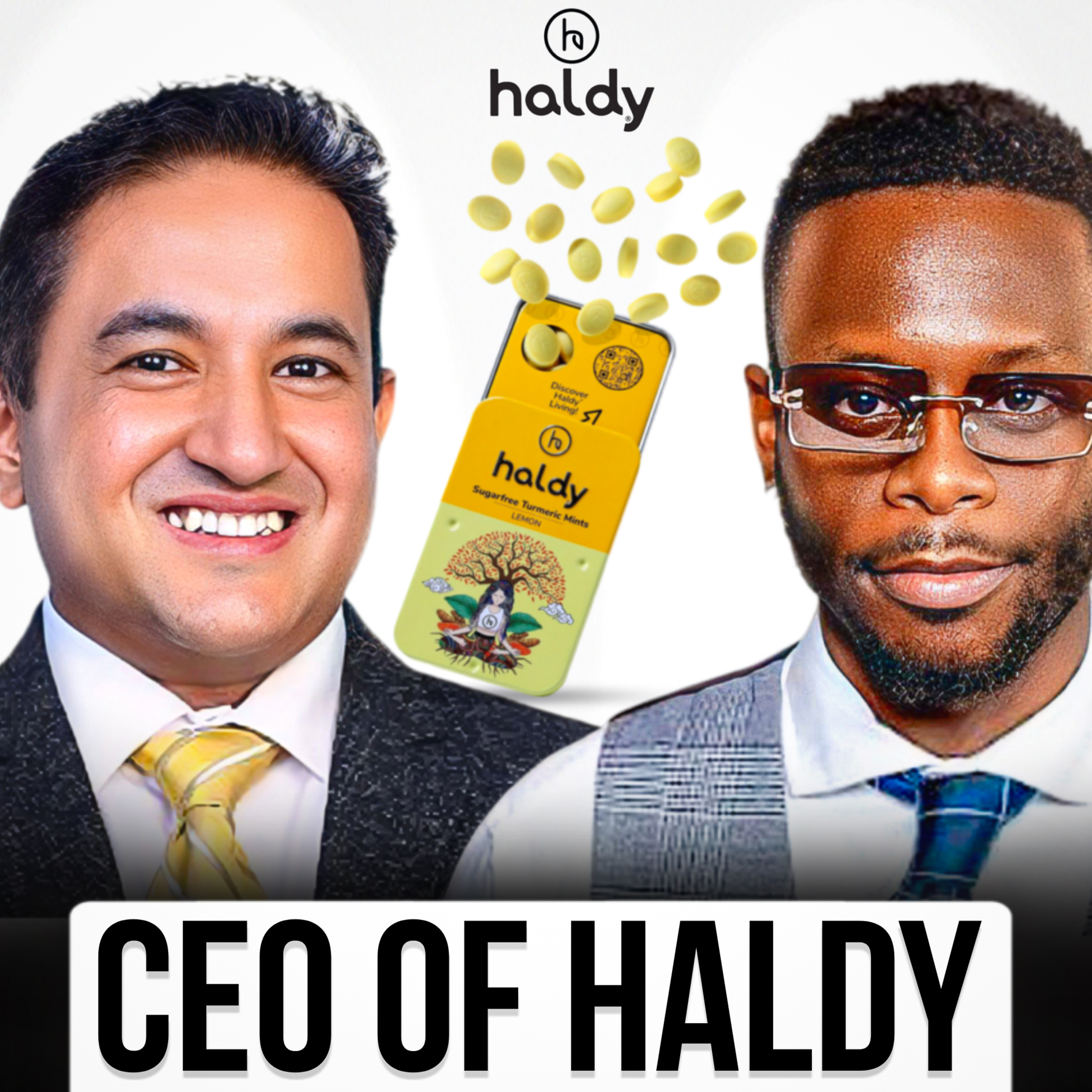 CEO of Haldy Push Sharma on Leadership Startups and Growth episode artwork