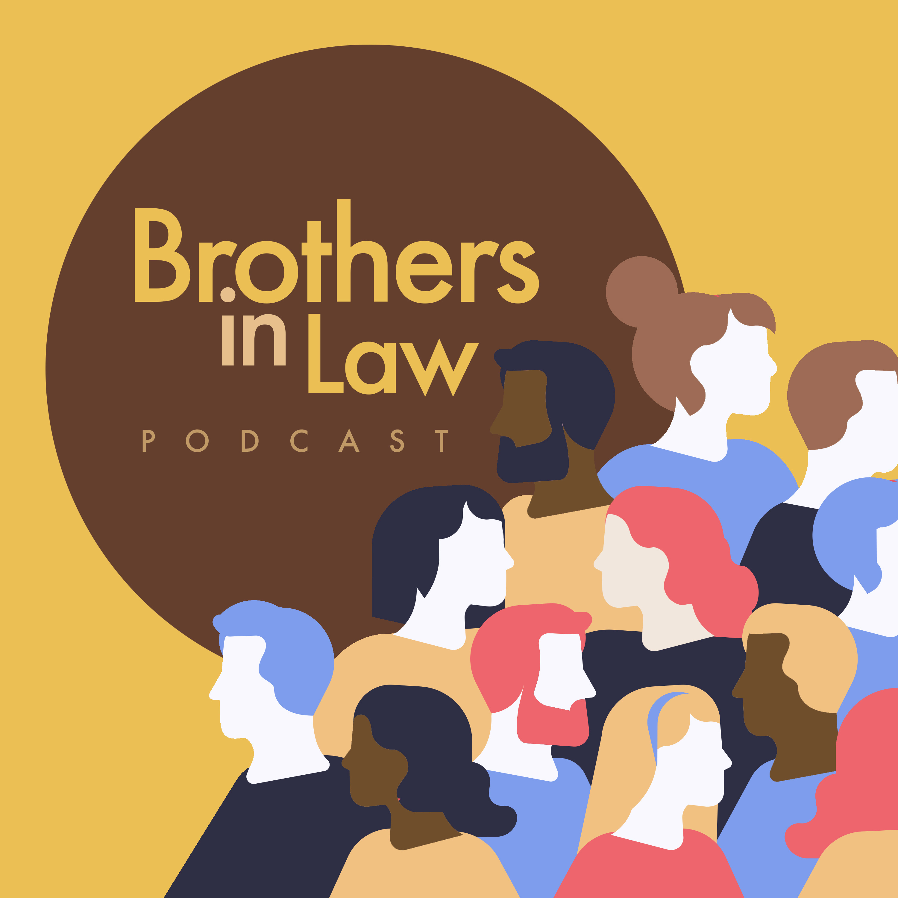 Brothers in Law