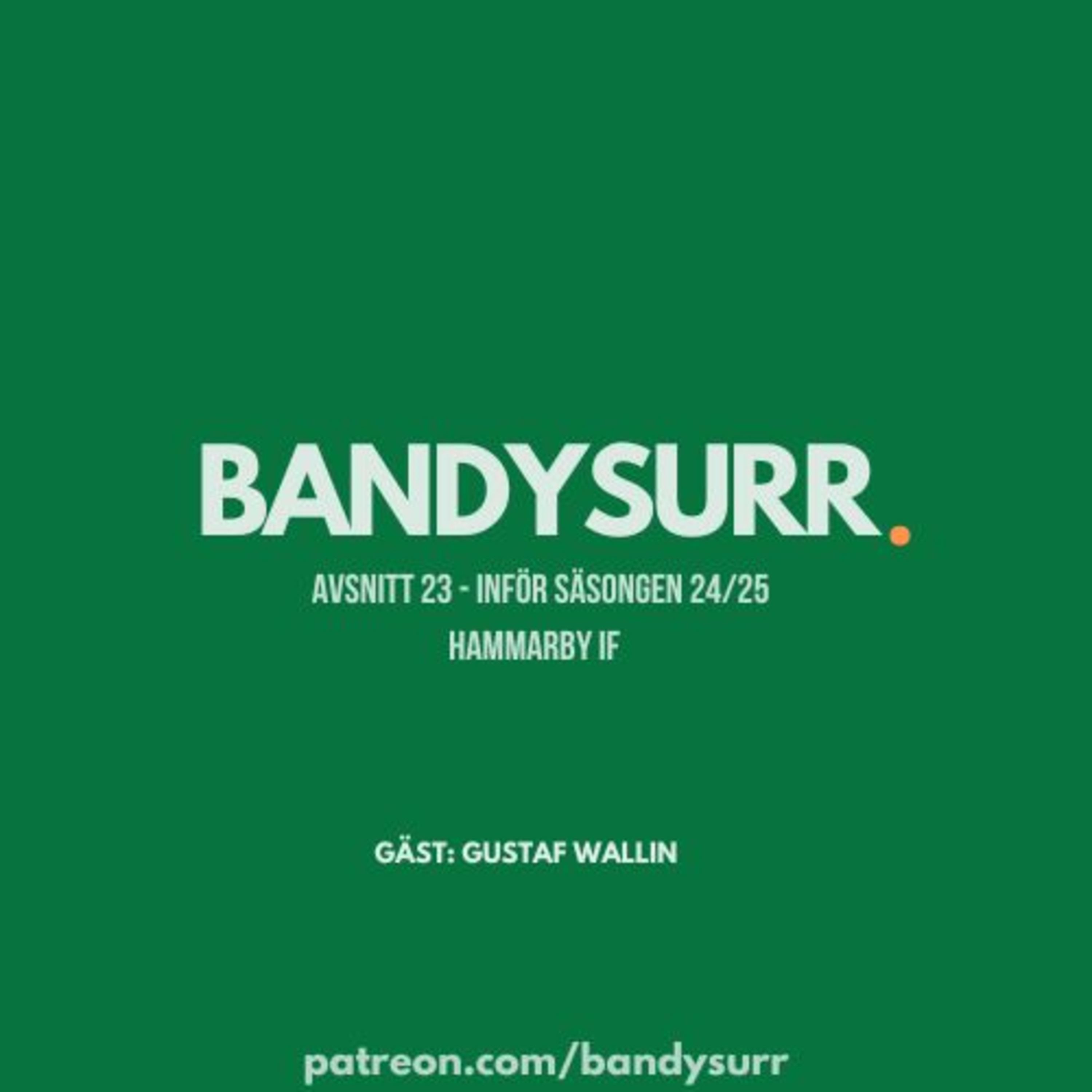 BANDYSURR - Robin Mårtensson & gäster.